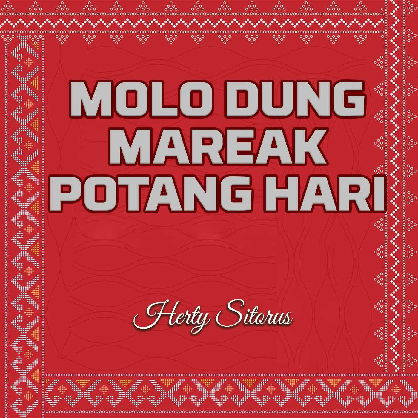 Релиз Molo Dung Mareak Potang Hari