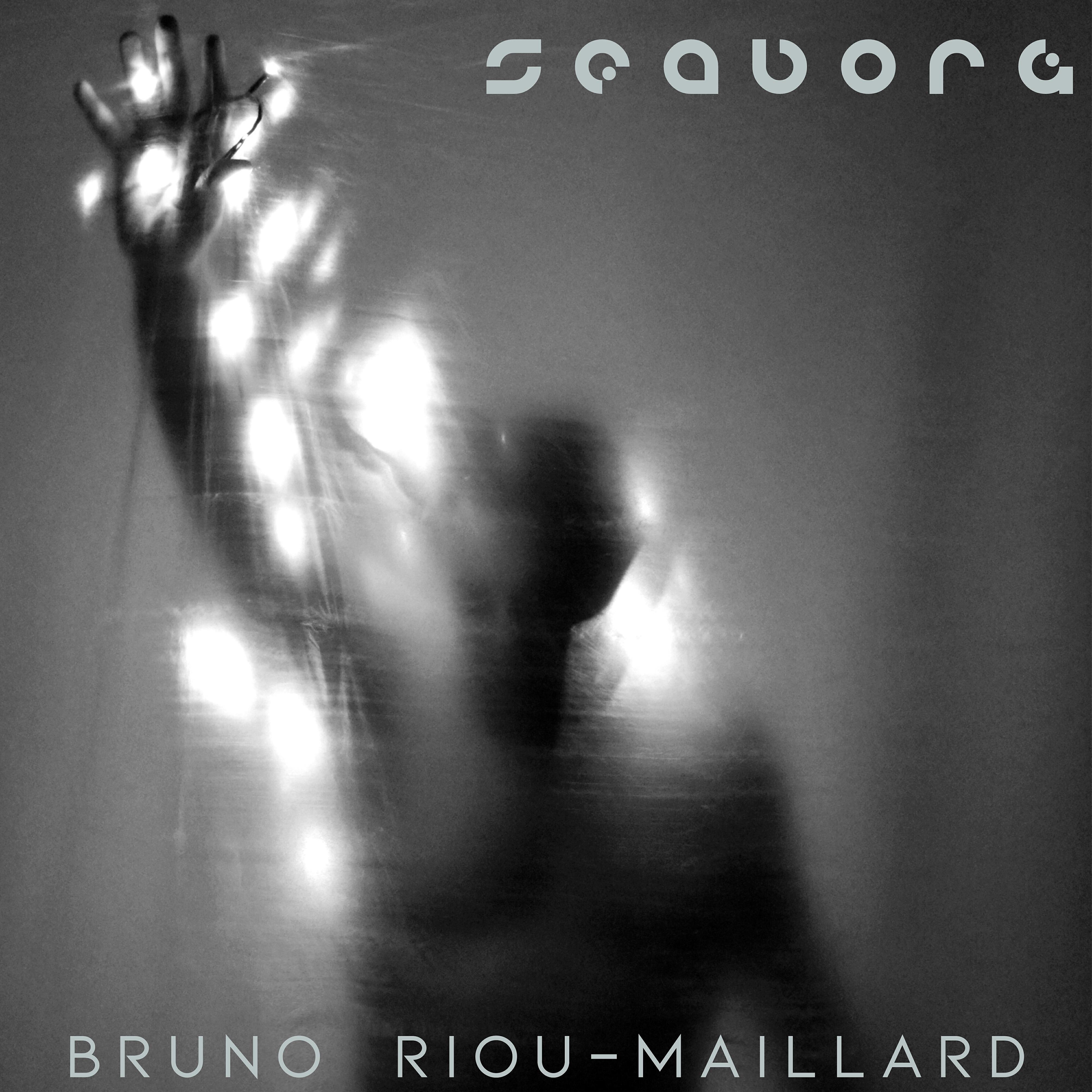 Релиз Seaborg