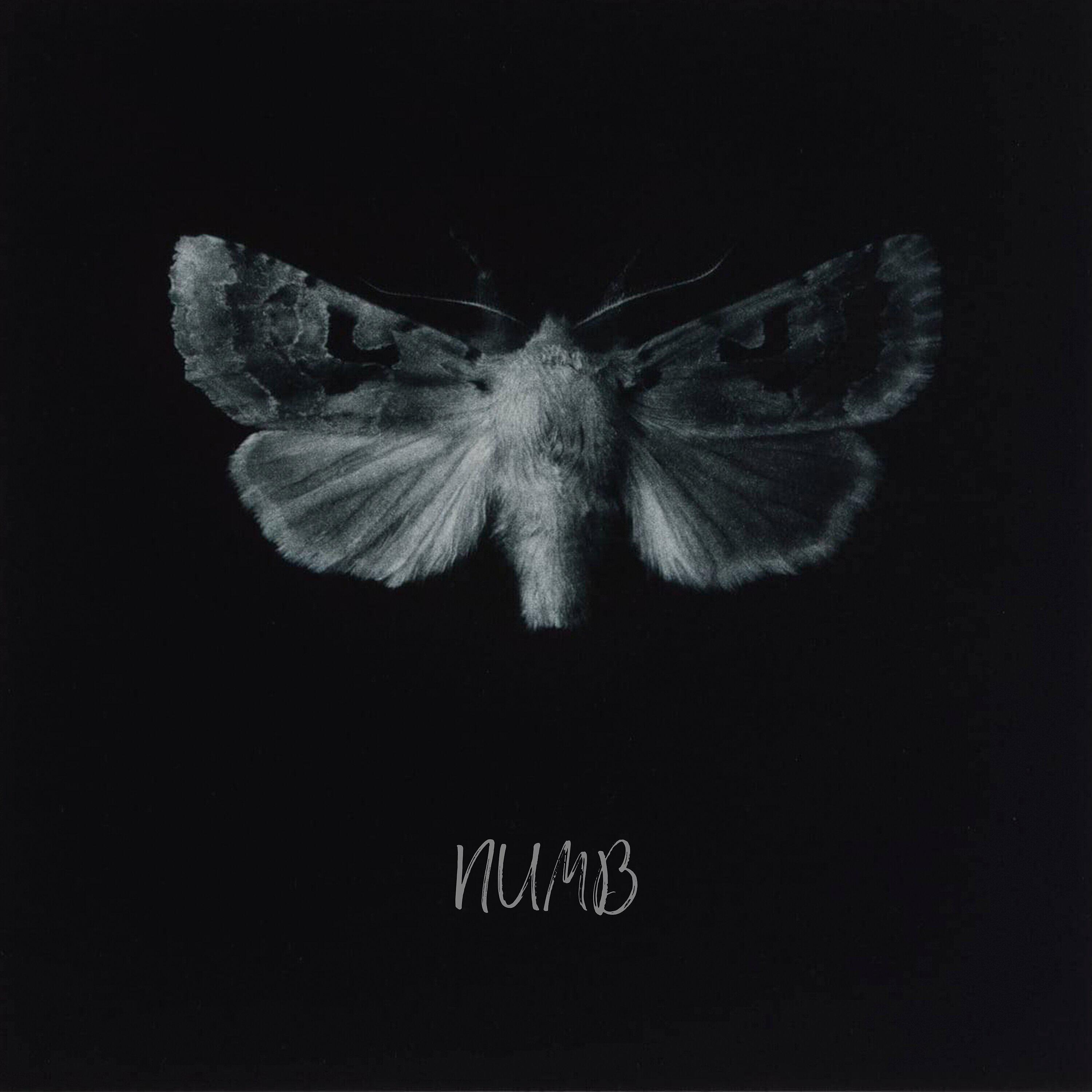 Релиз Numb