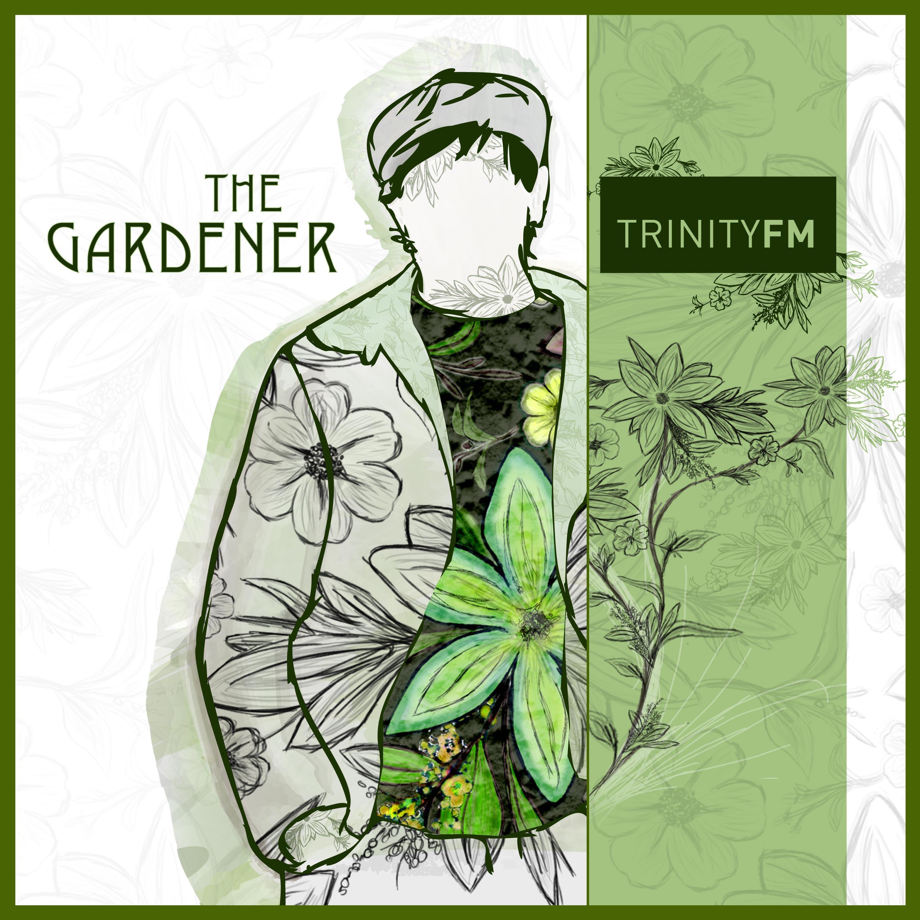 Релиз The Gardener