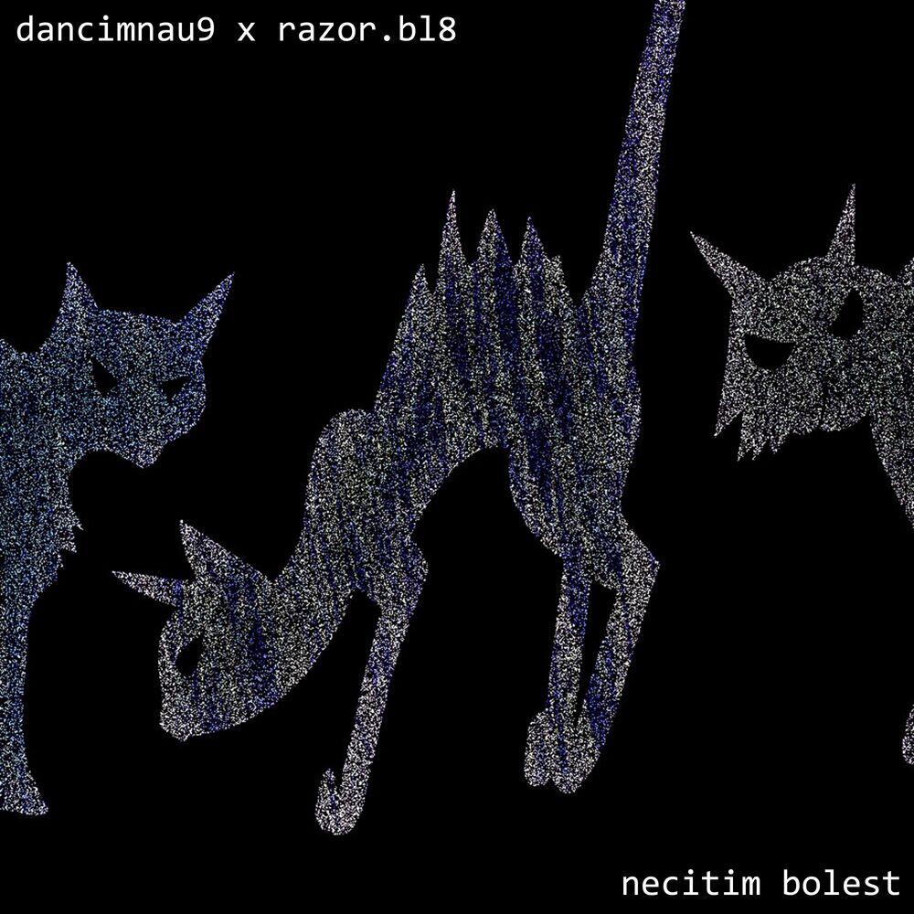 Релиз necitimbolest