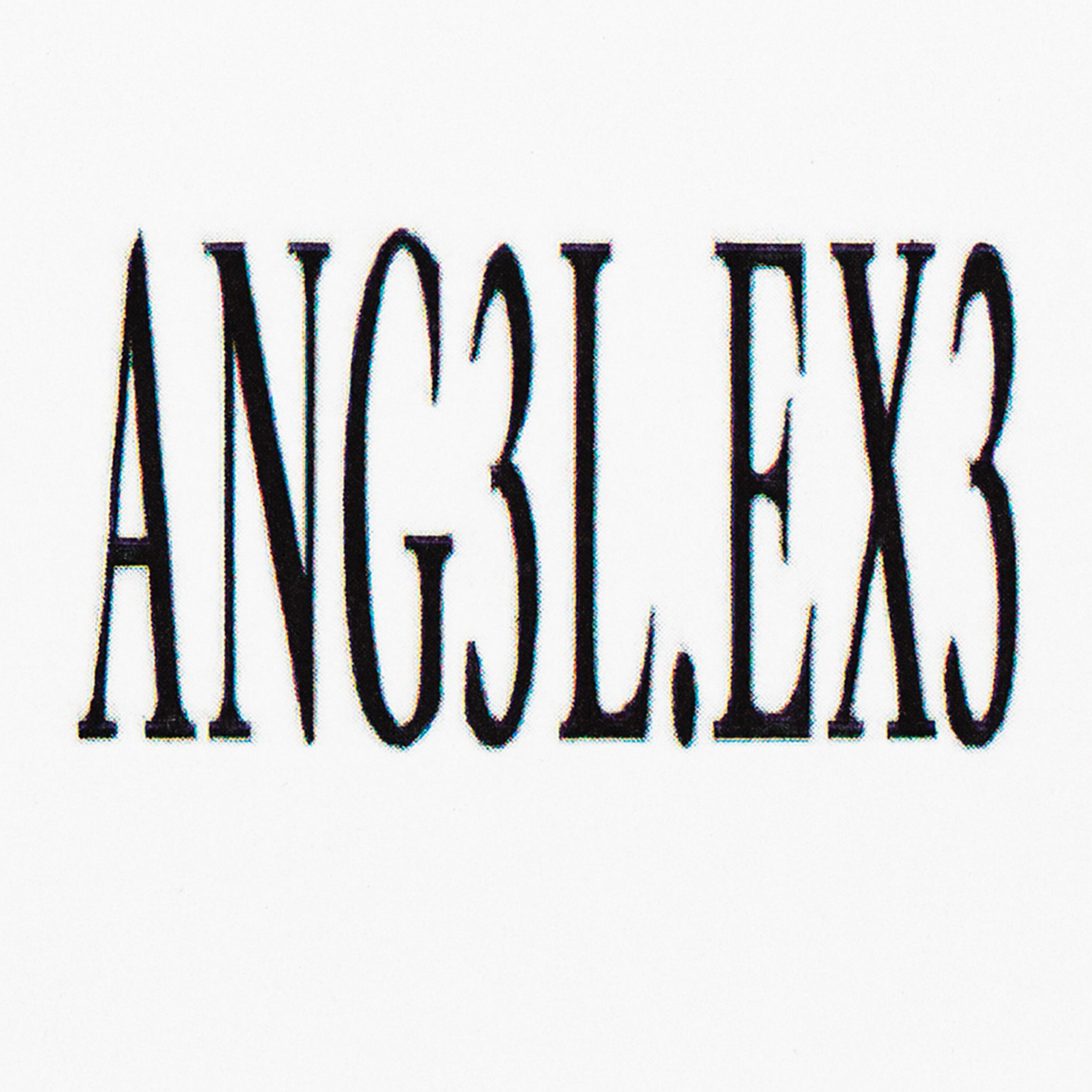 Постер альбома ANG3L.EX3