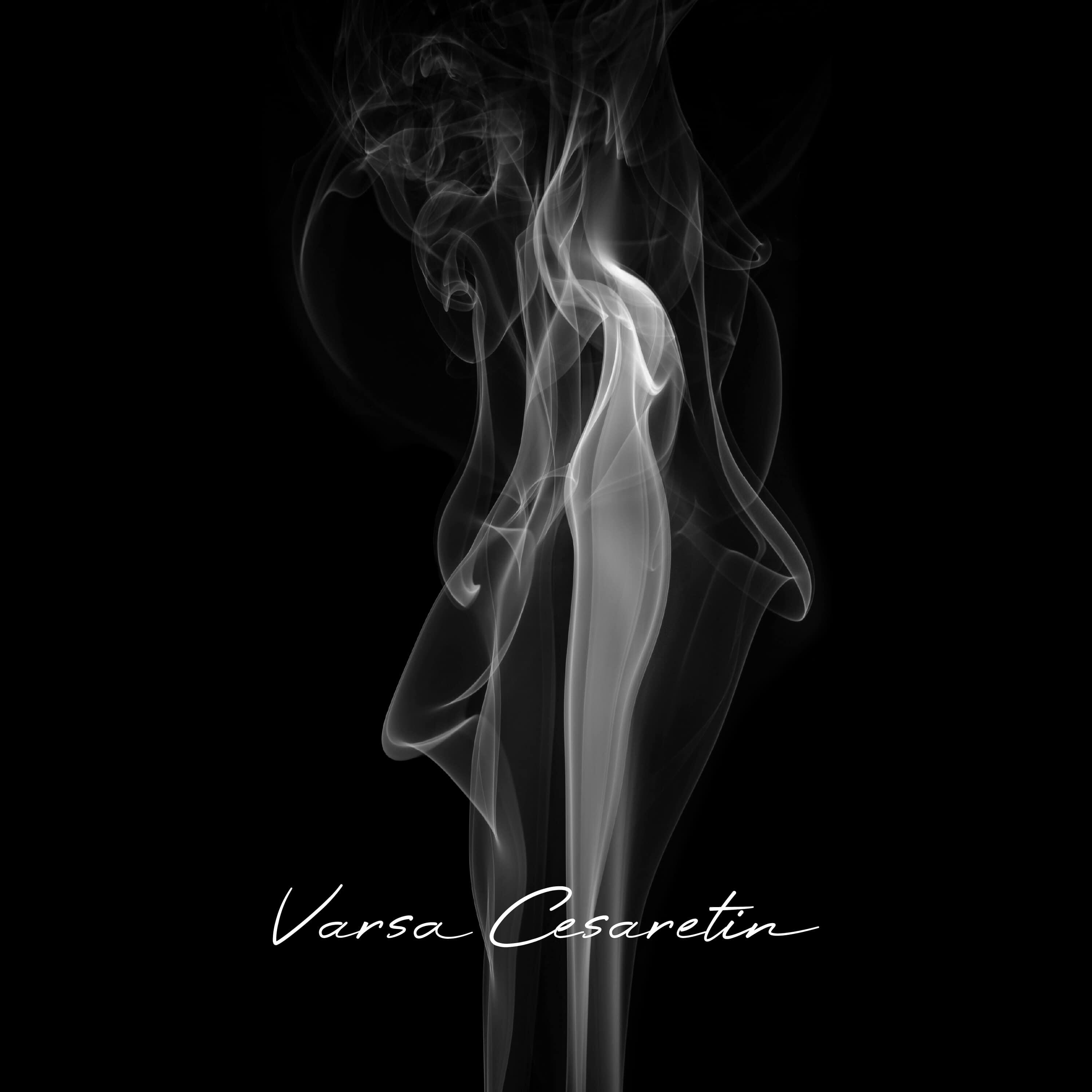 Релиз Varsa Cesaretin