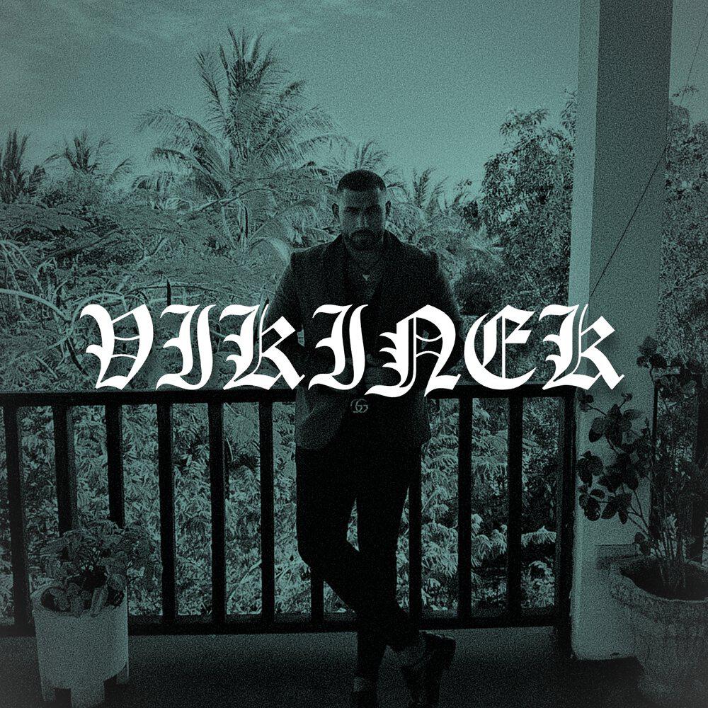 Релиз Vikinek