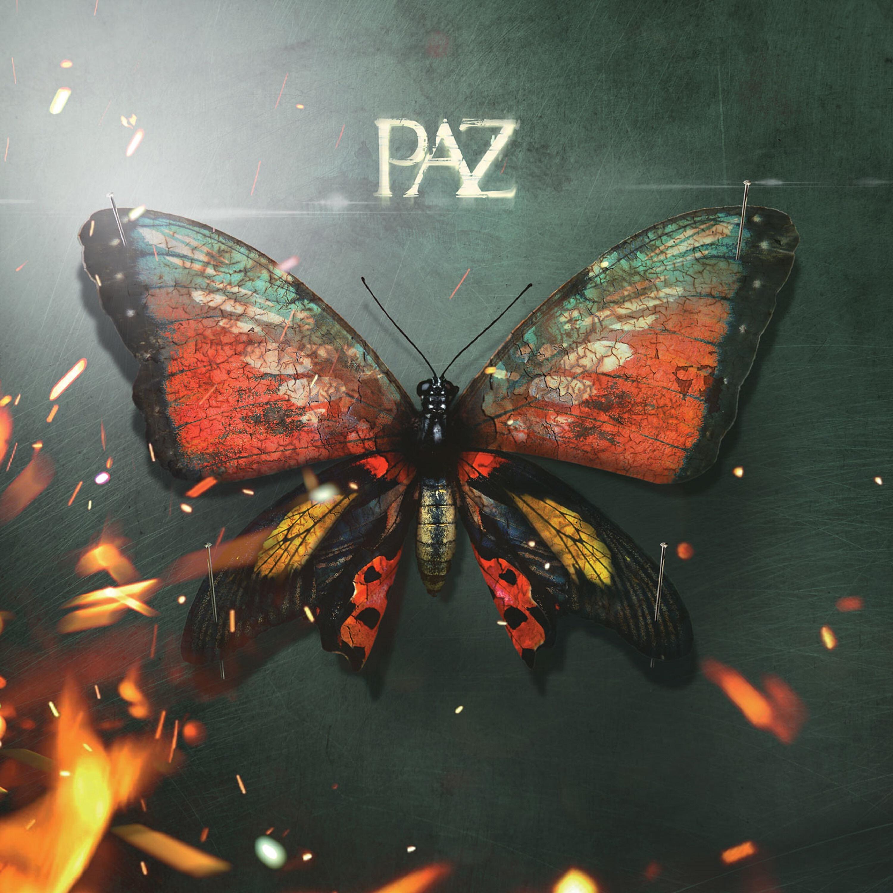 Релиз Paz