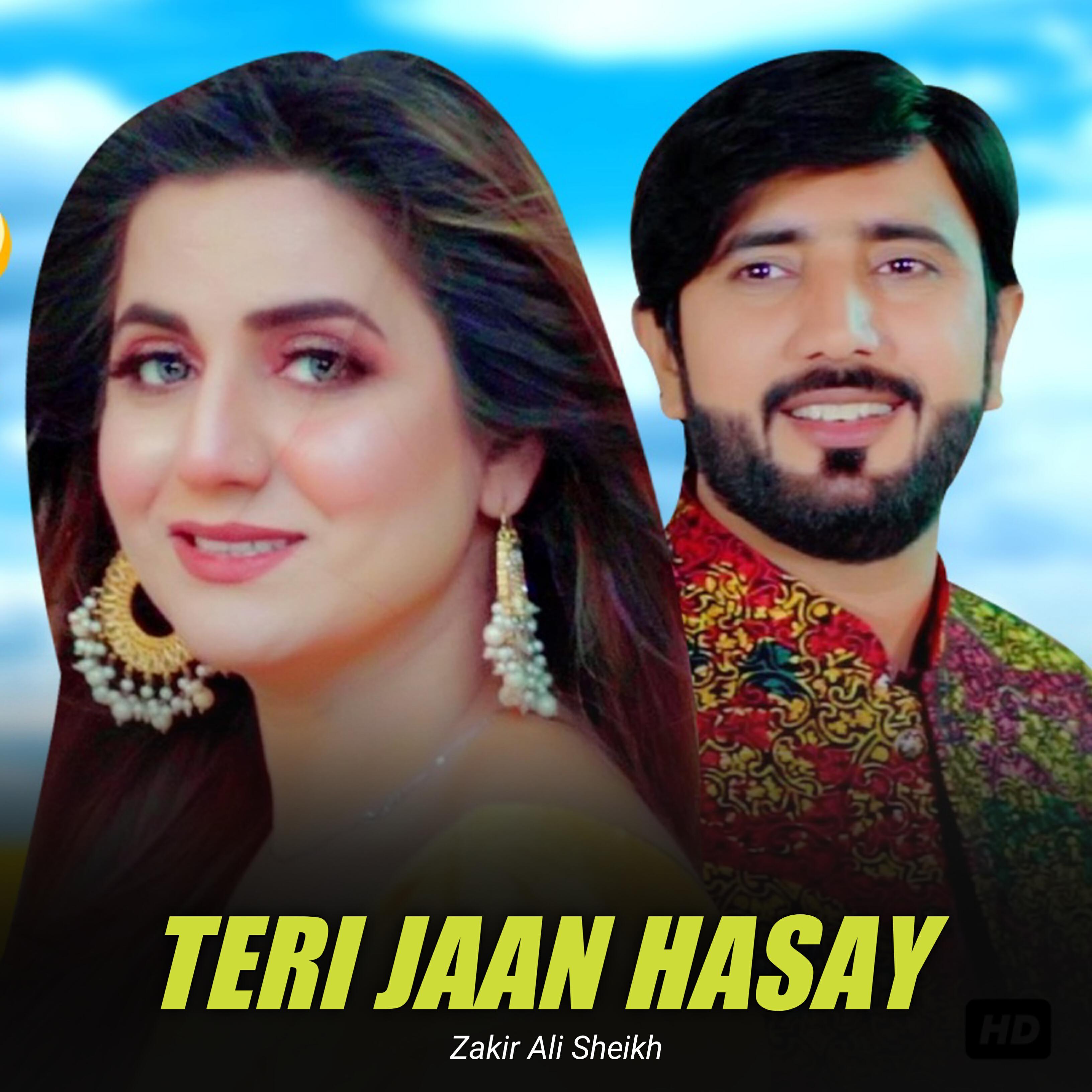 Релиз Teri Jaan Hasay