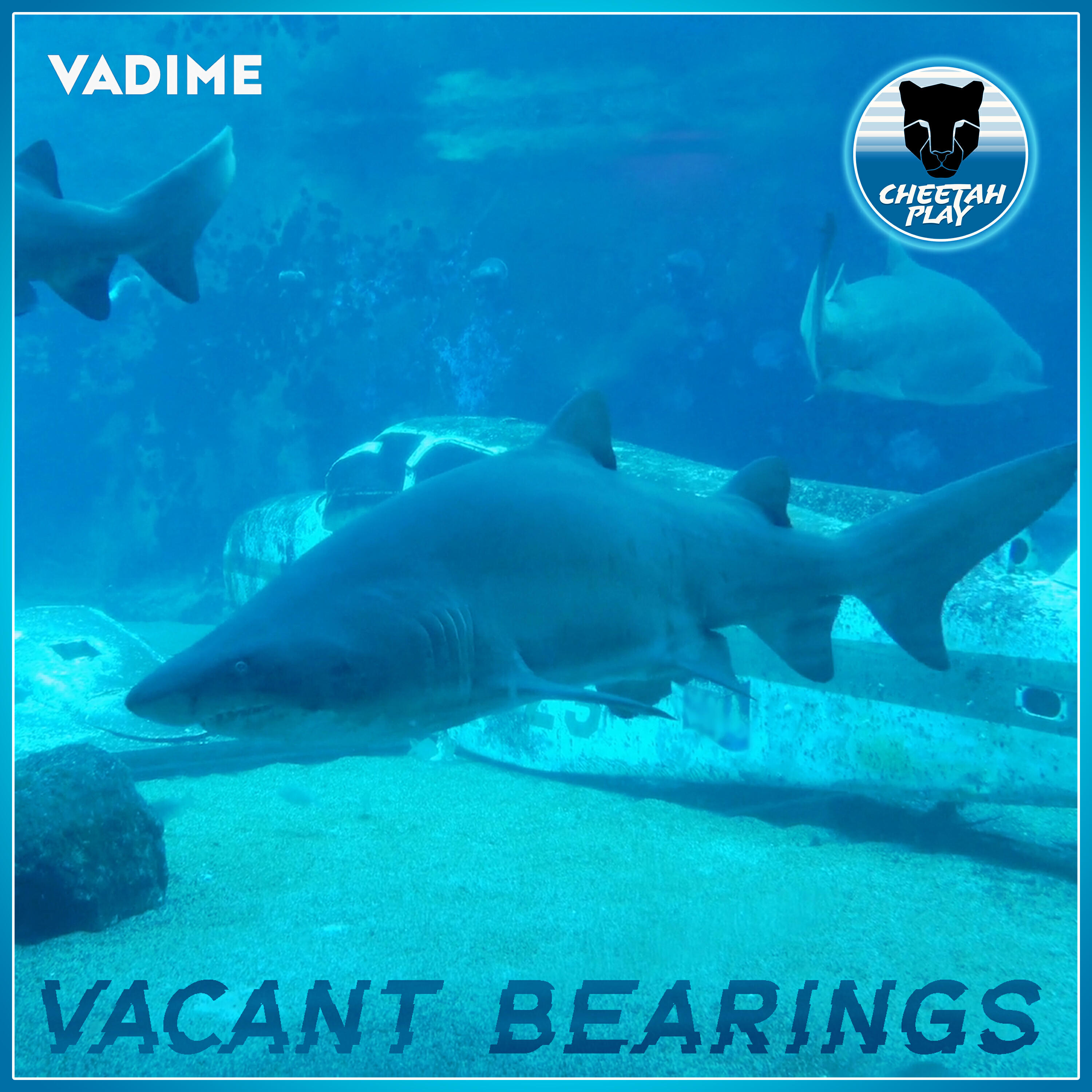 Релиз Vacant Bearings