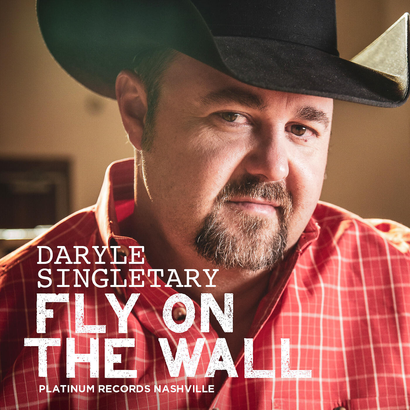 Релиз Fly on the Wall
