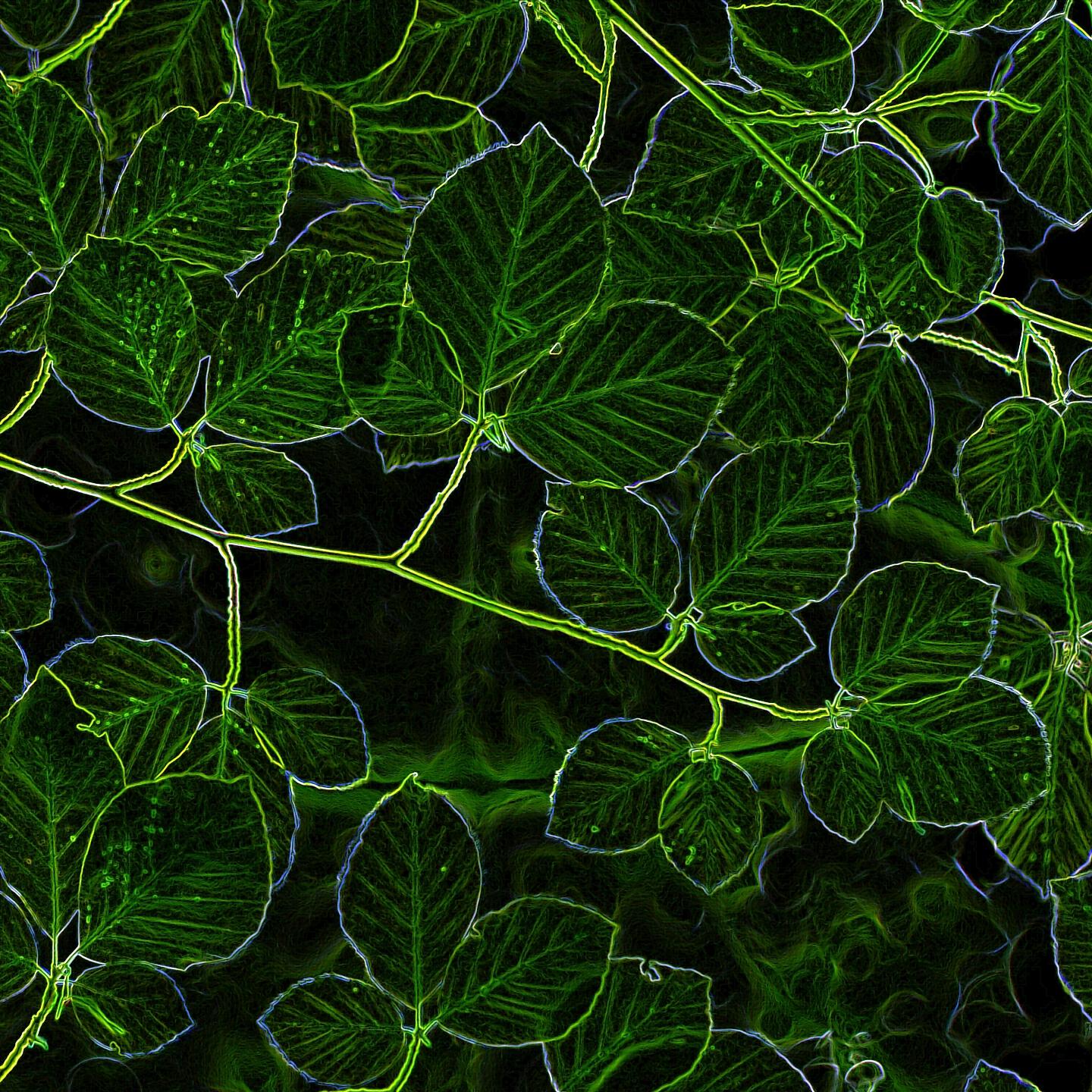Релиз Green Wood
