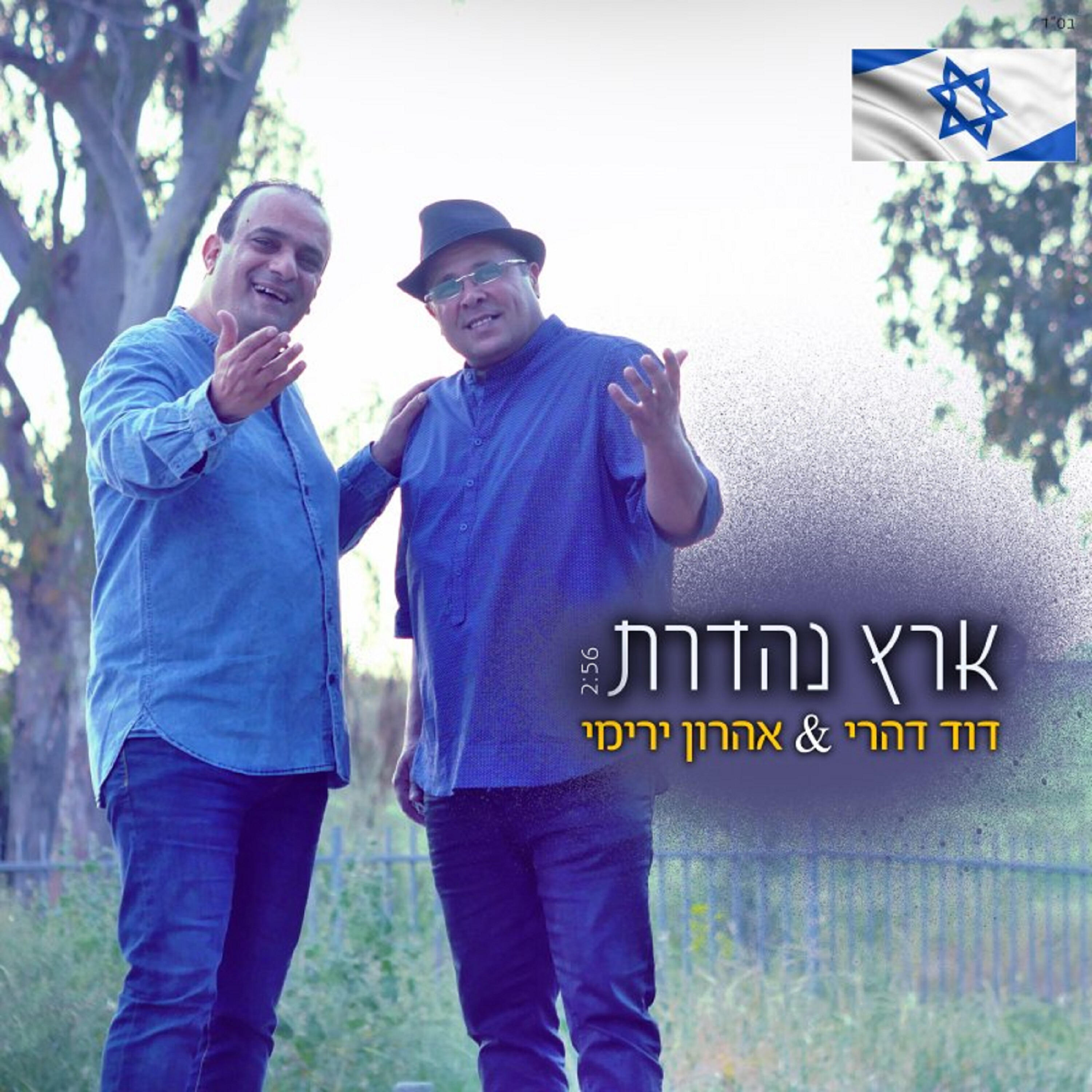 דוד דהרי