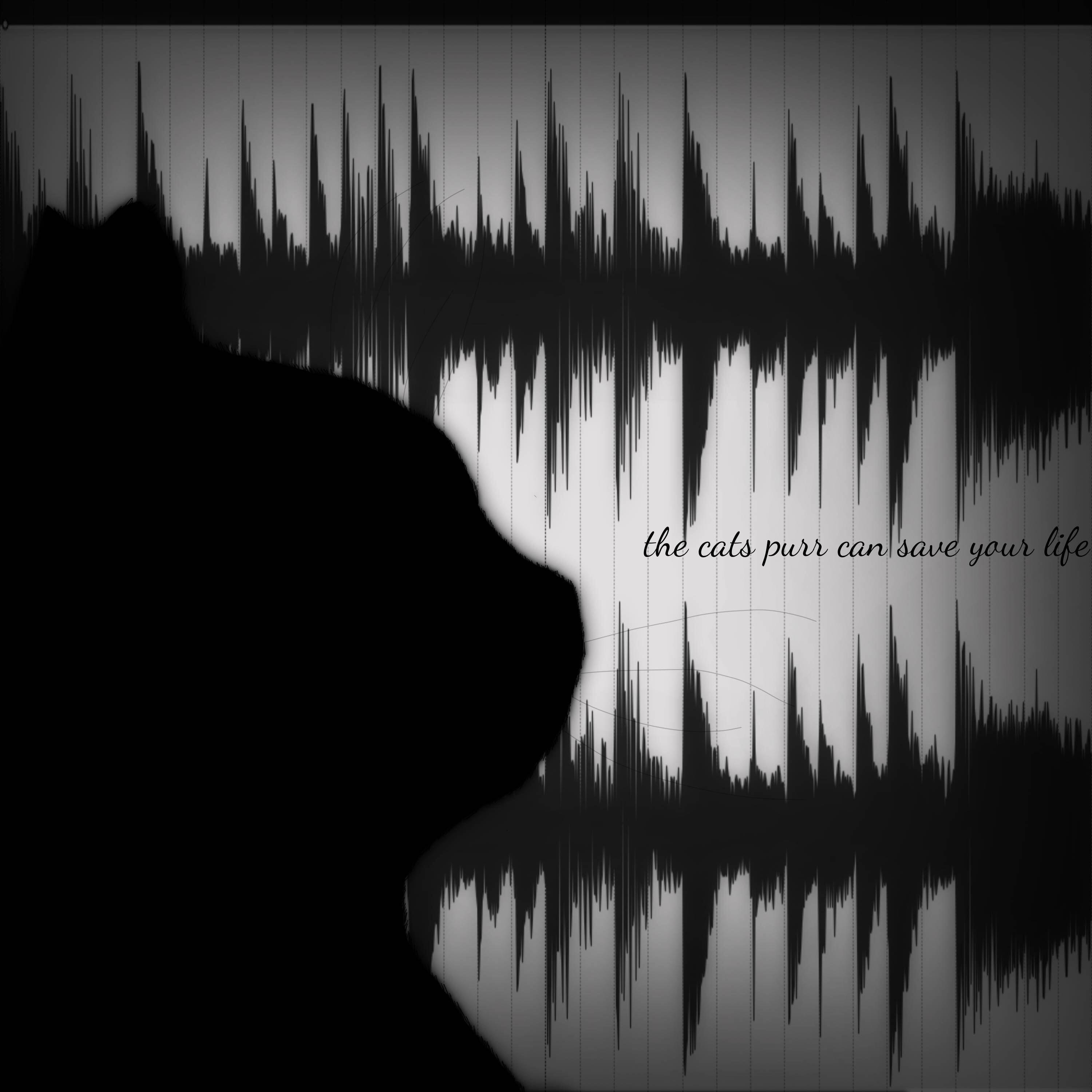 Релиз the cats purr can save your life