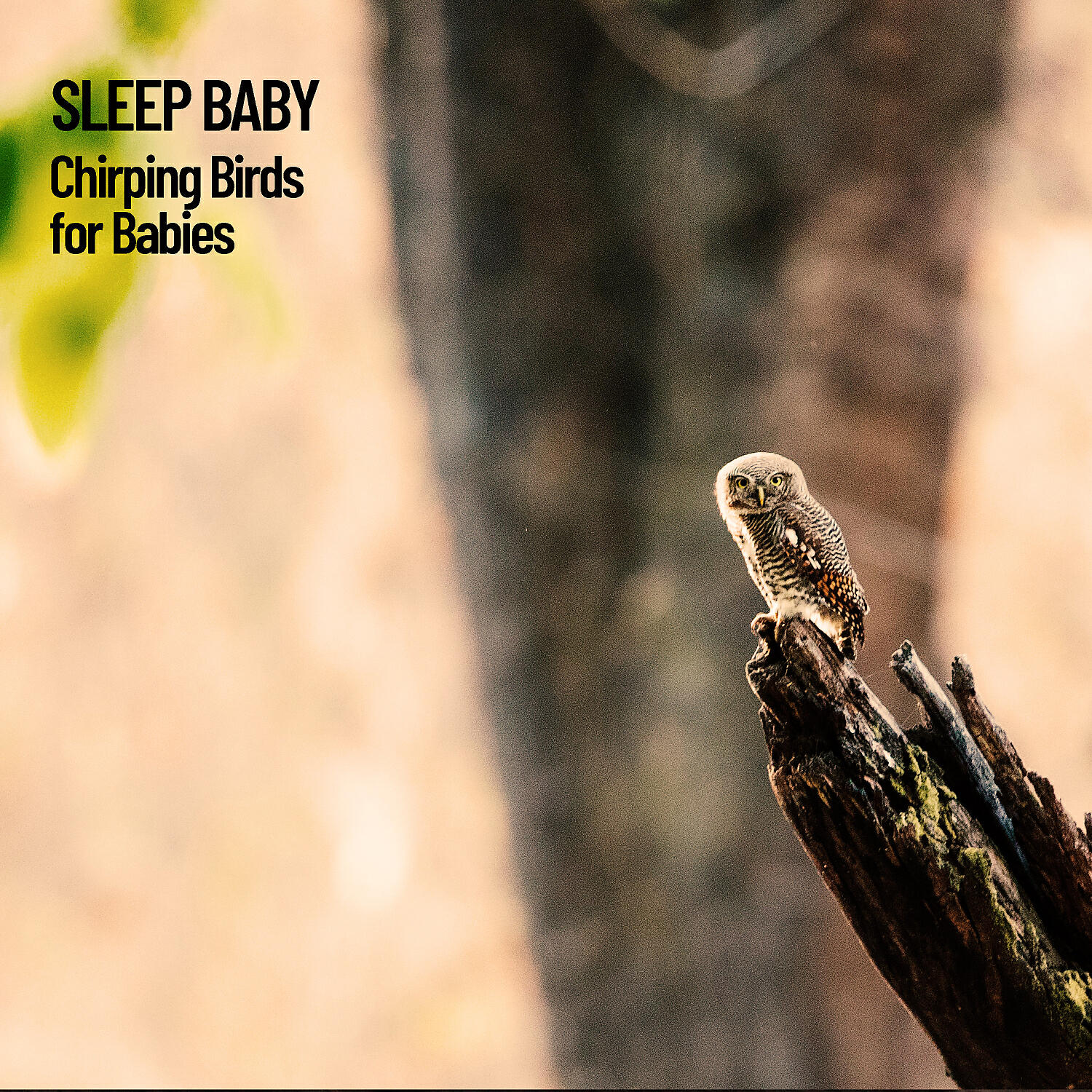 Релиз Sleep Baby: Chirping Birds for Babies