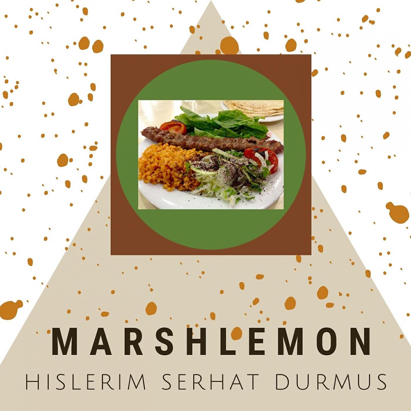 Релиз Hislerim Serhat Durmus