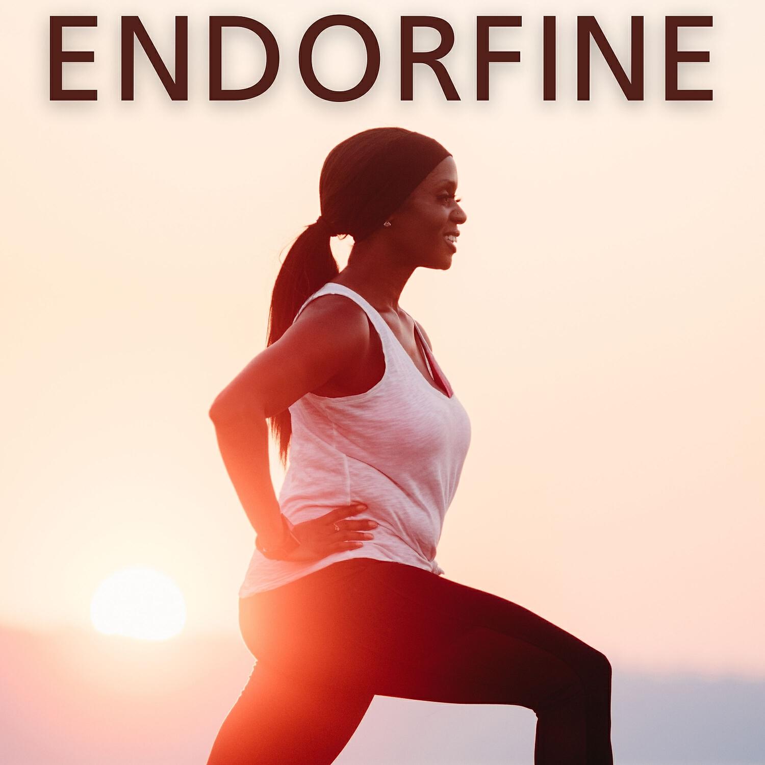 Релиз Endorfine