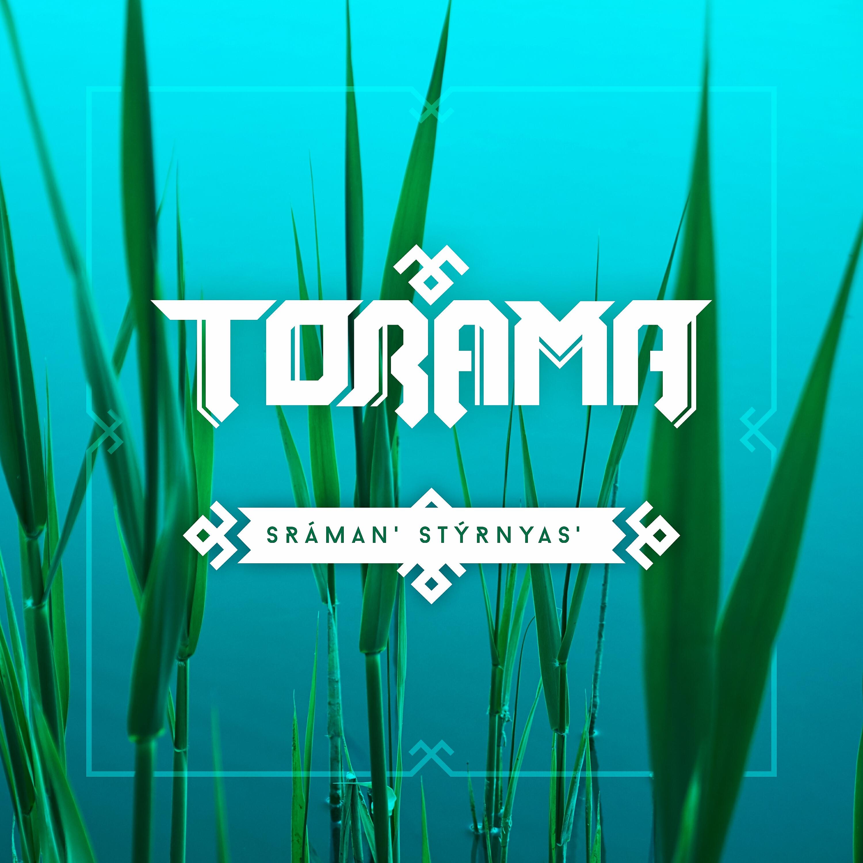 Релиз Sraman' Styrnyas'