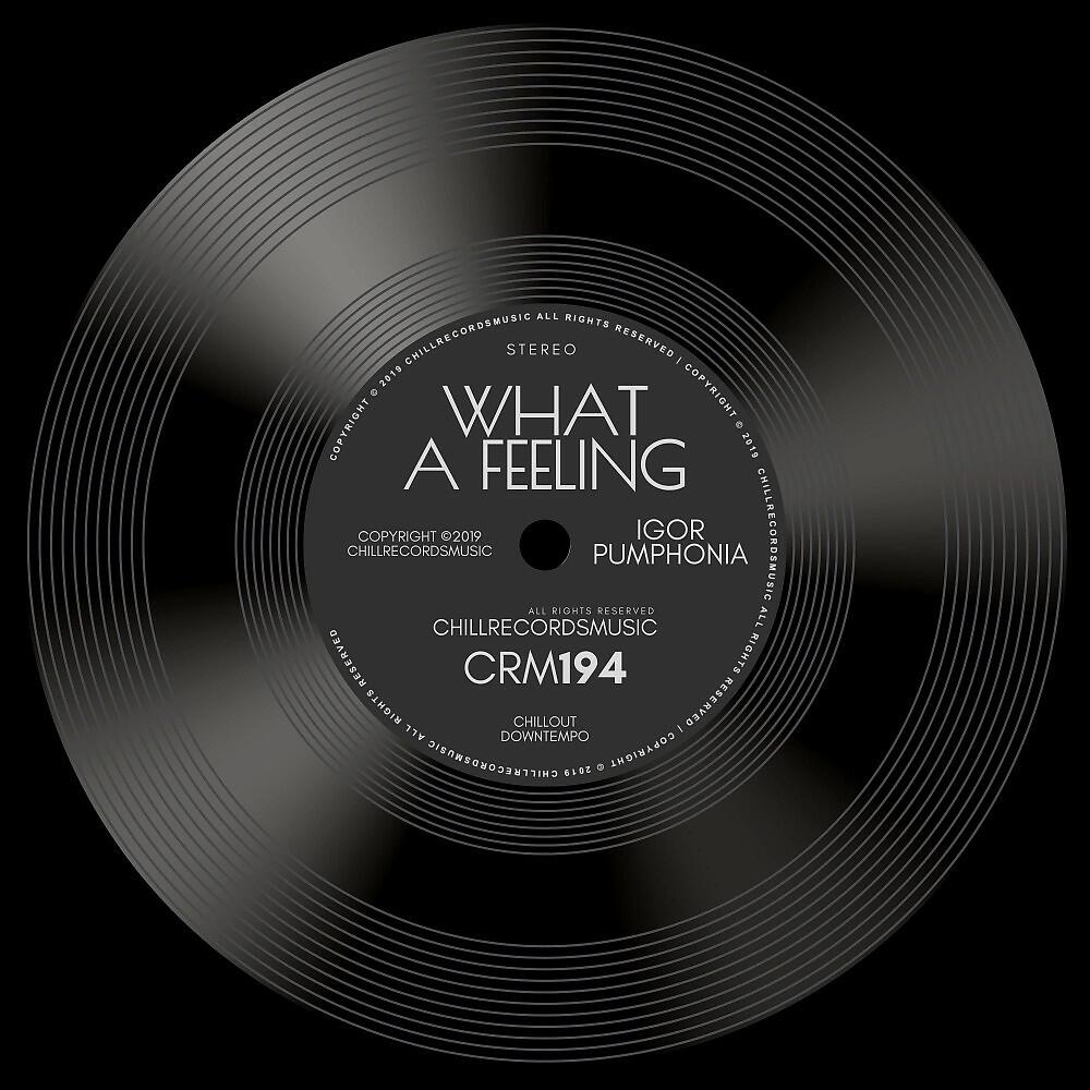 Трек What a Feeling (Dub)