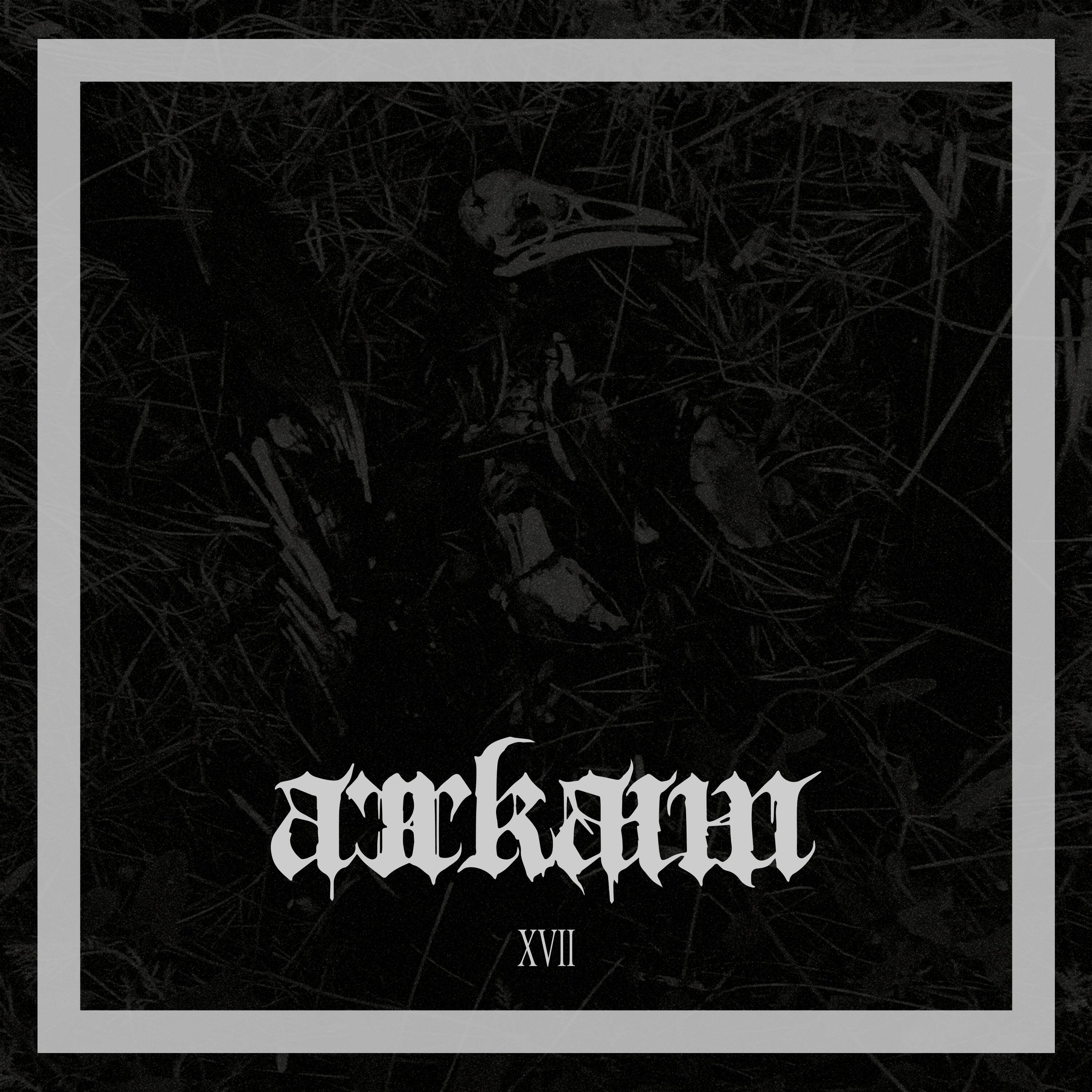 Релиз XVII