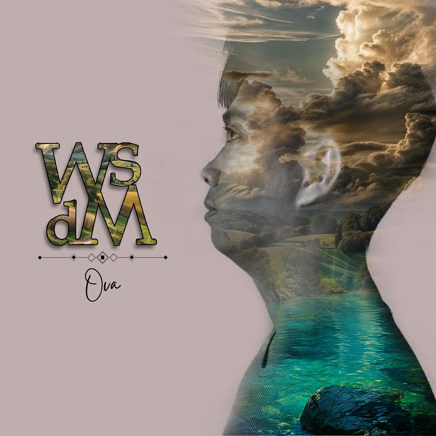 Релиз Wsdm