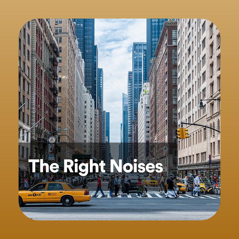 Релиз The Right Noises