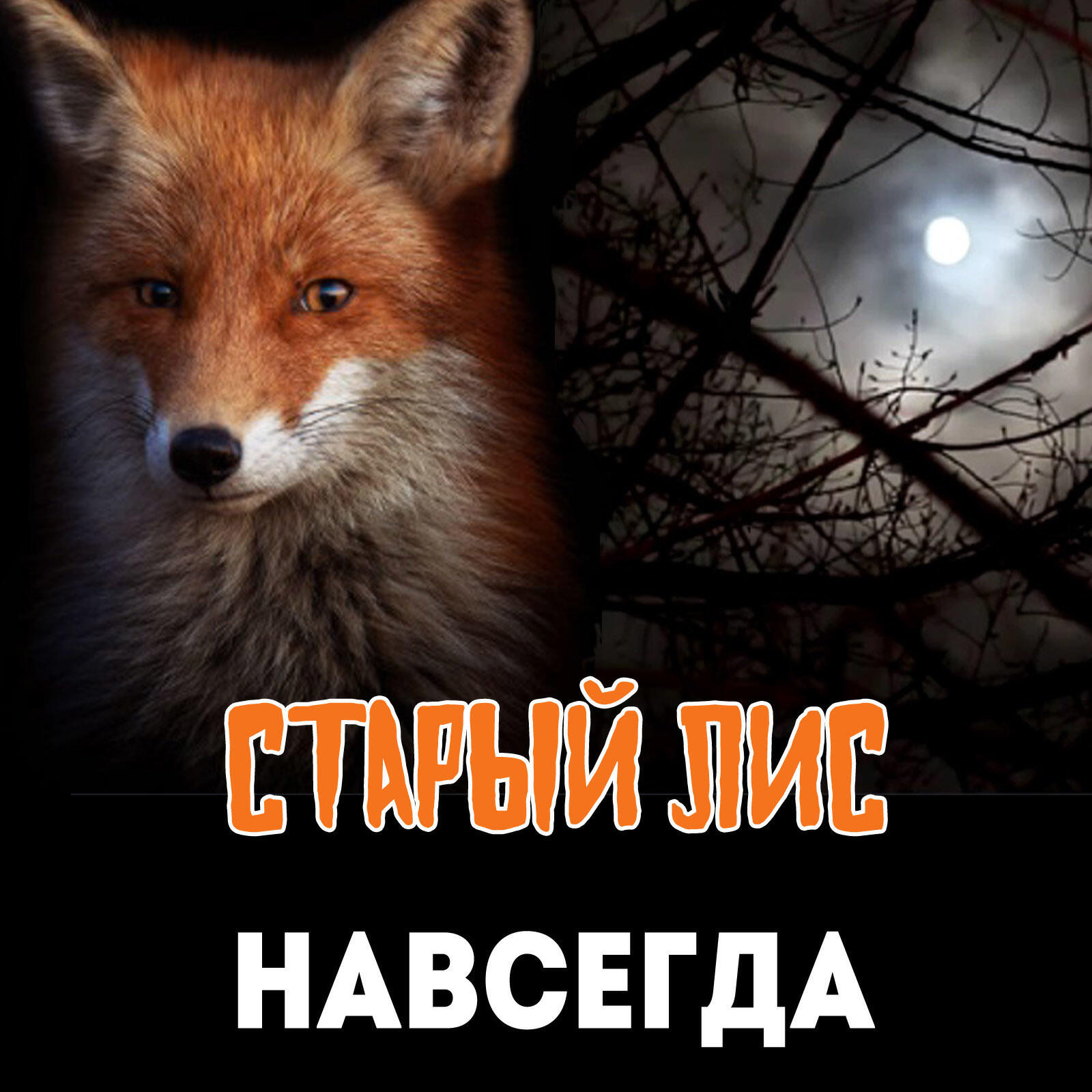 Релиз Навсегда