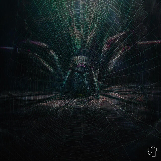 Релиз SPIDER