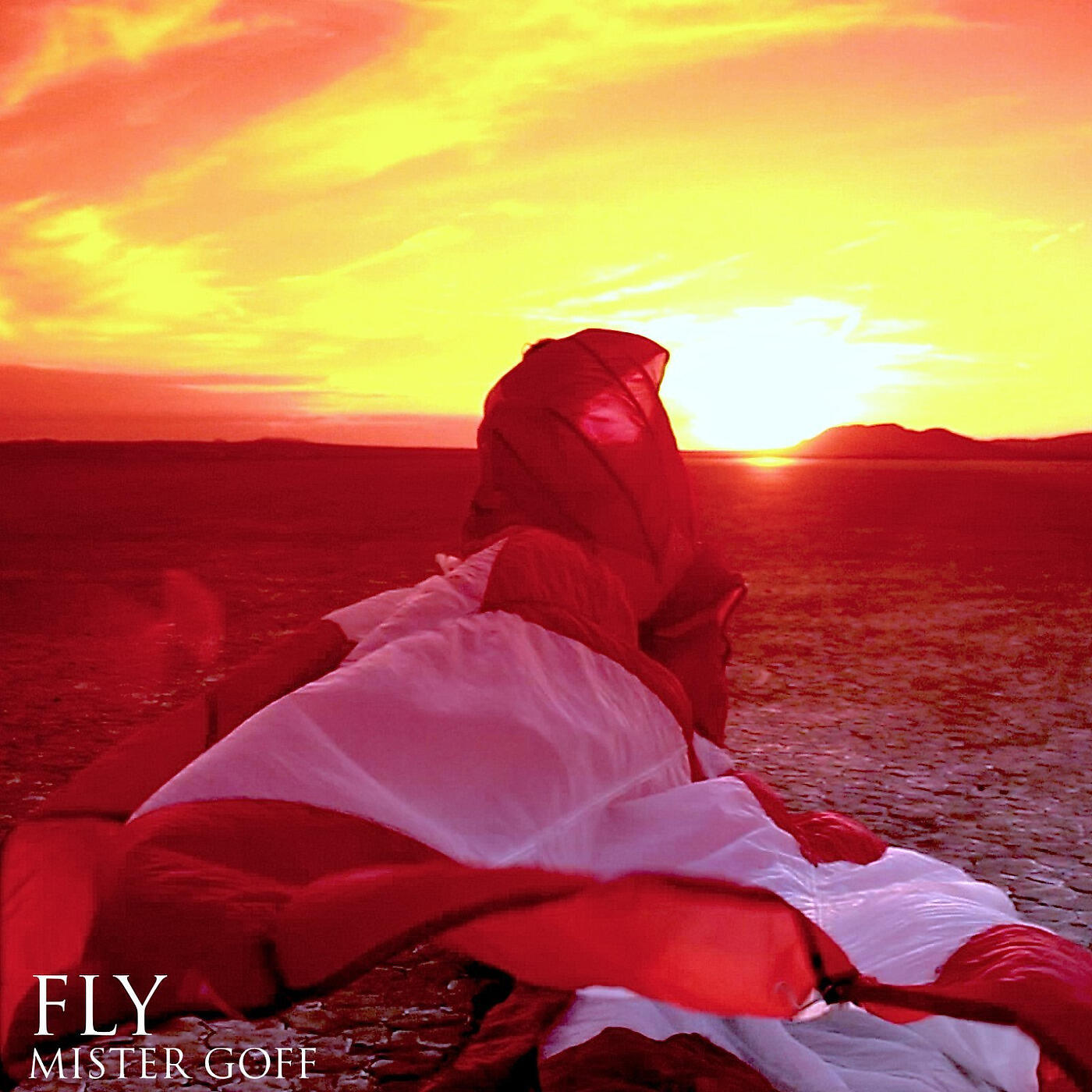 Релиз Fly