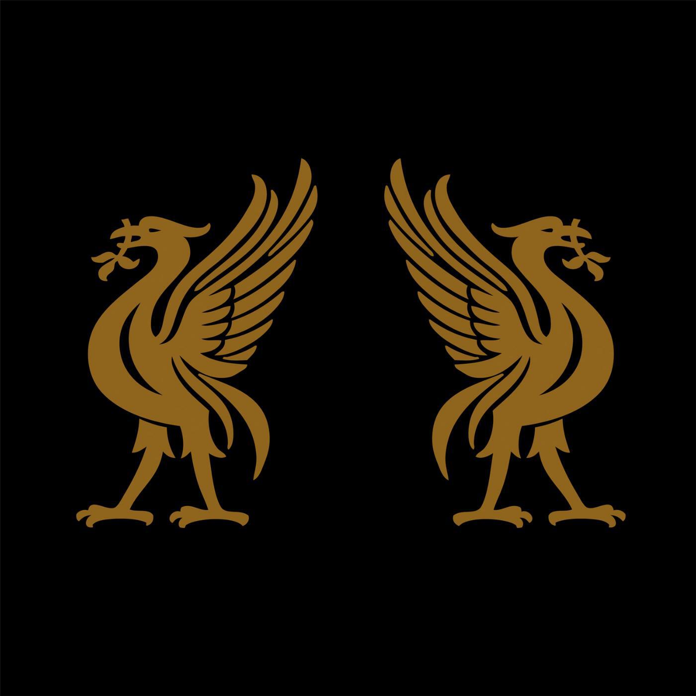 Релиз Liverbirds