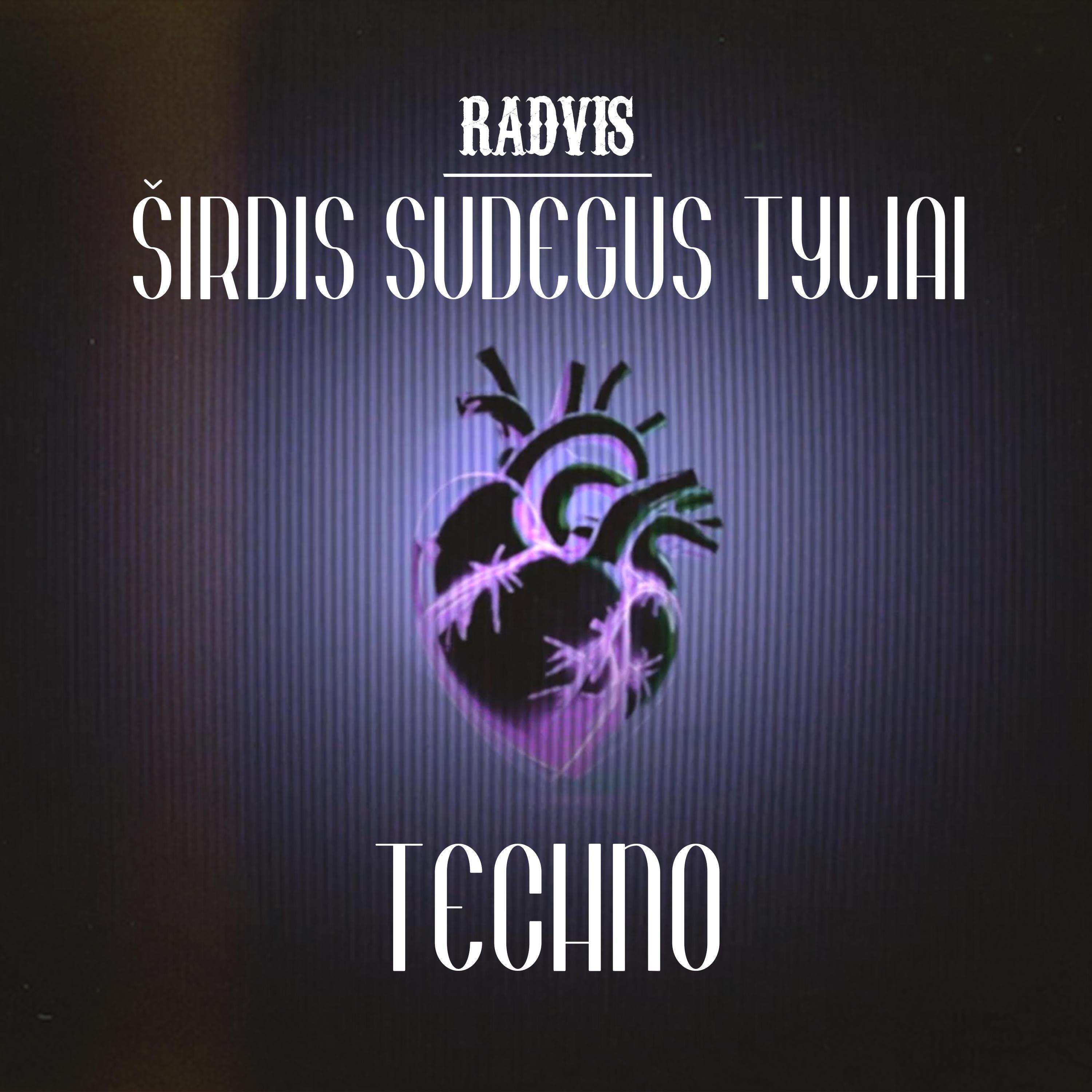 Релиз ŠIRDIS SUDEGUS TYLIAI