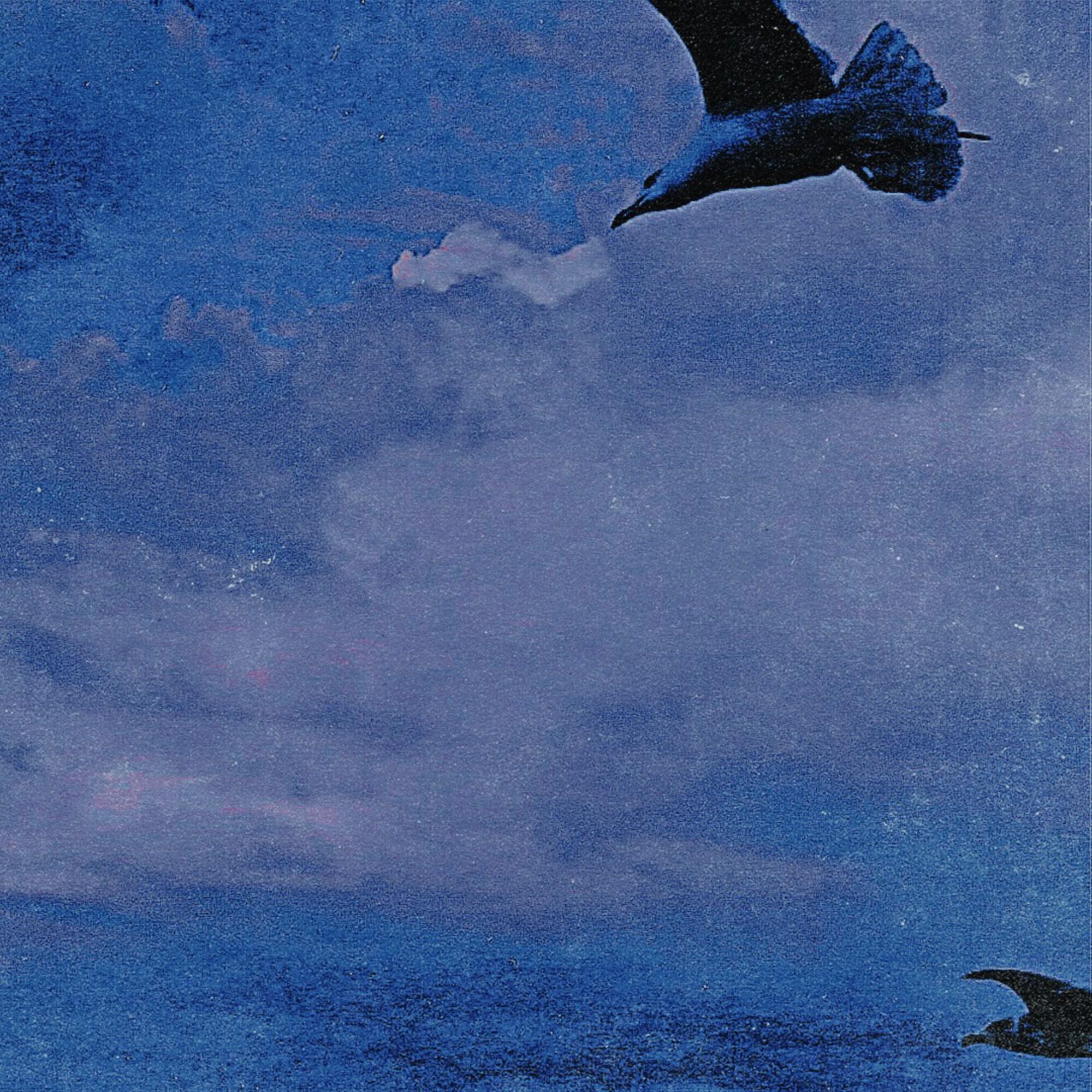 Релиз Flight