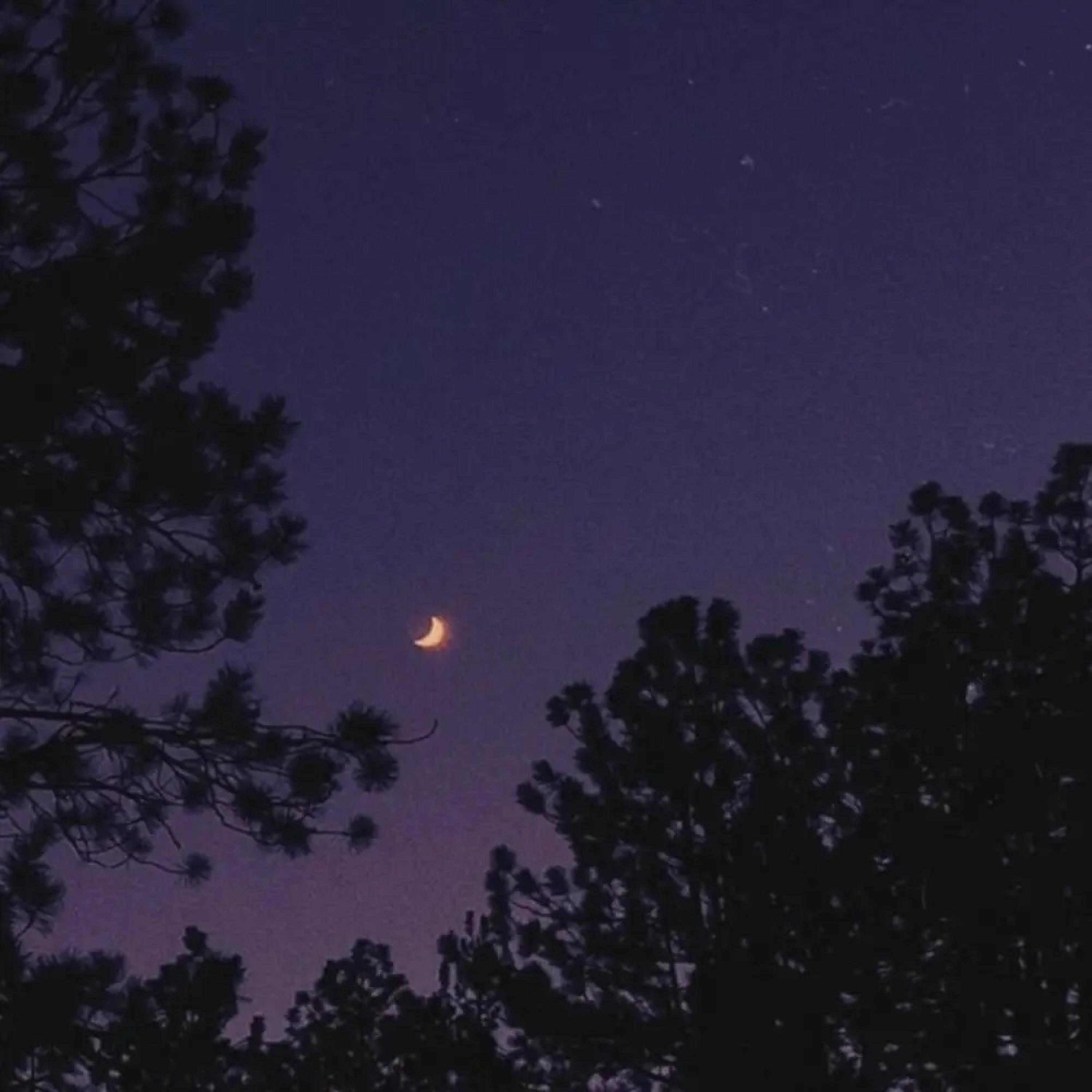Релиз Night Anthem