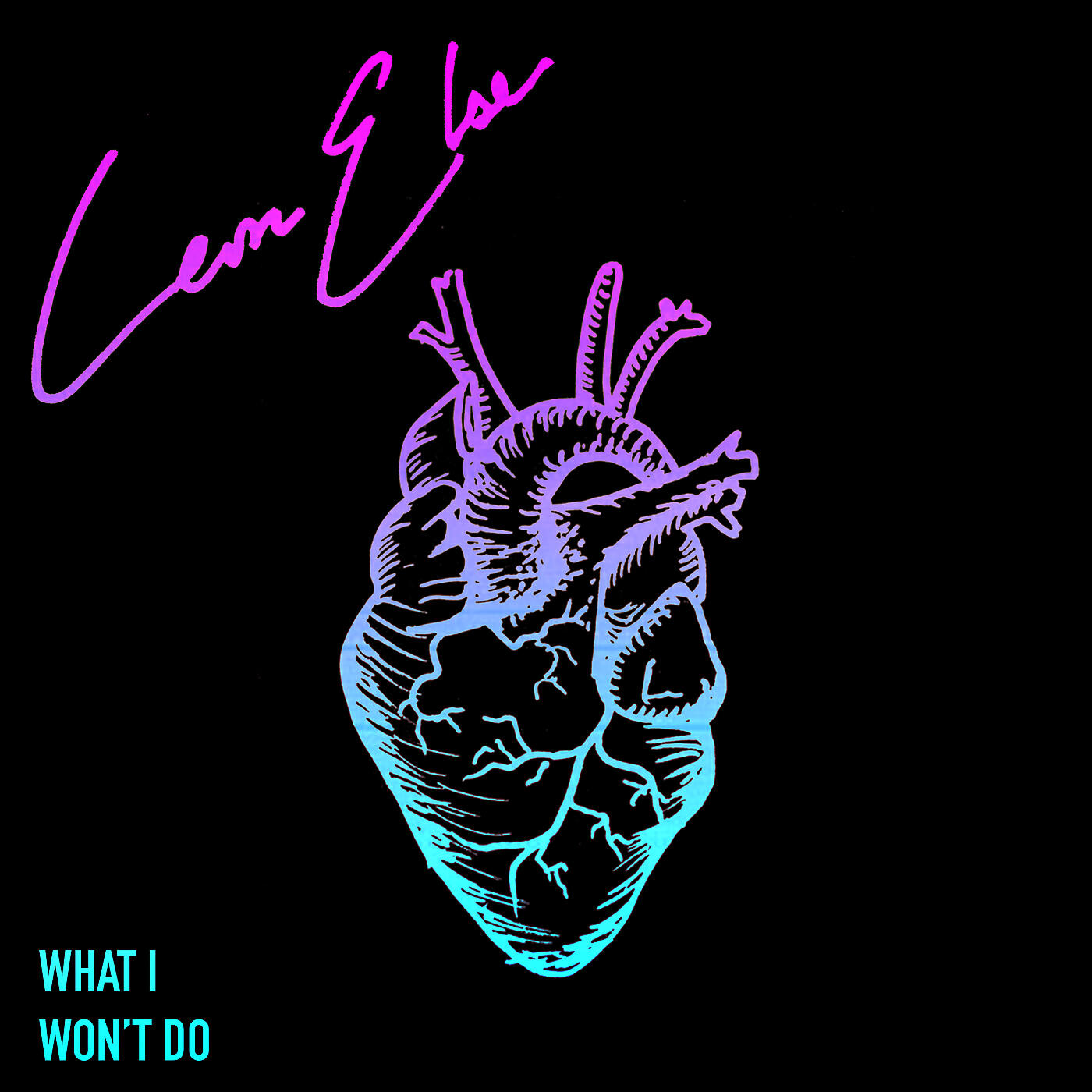 Релиз What I Won't Do