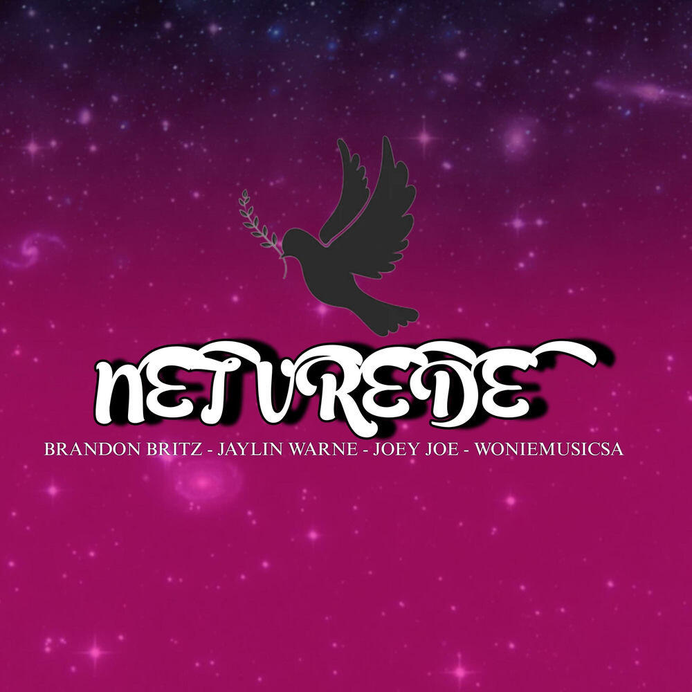 Релиз NET VREDE
