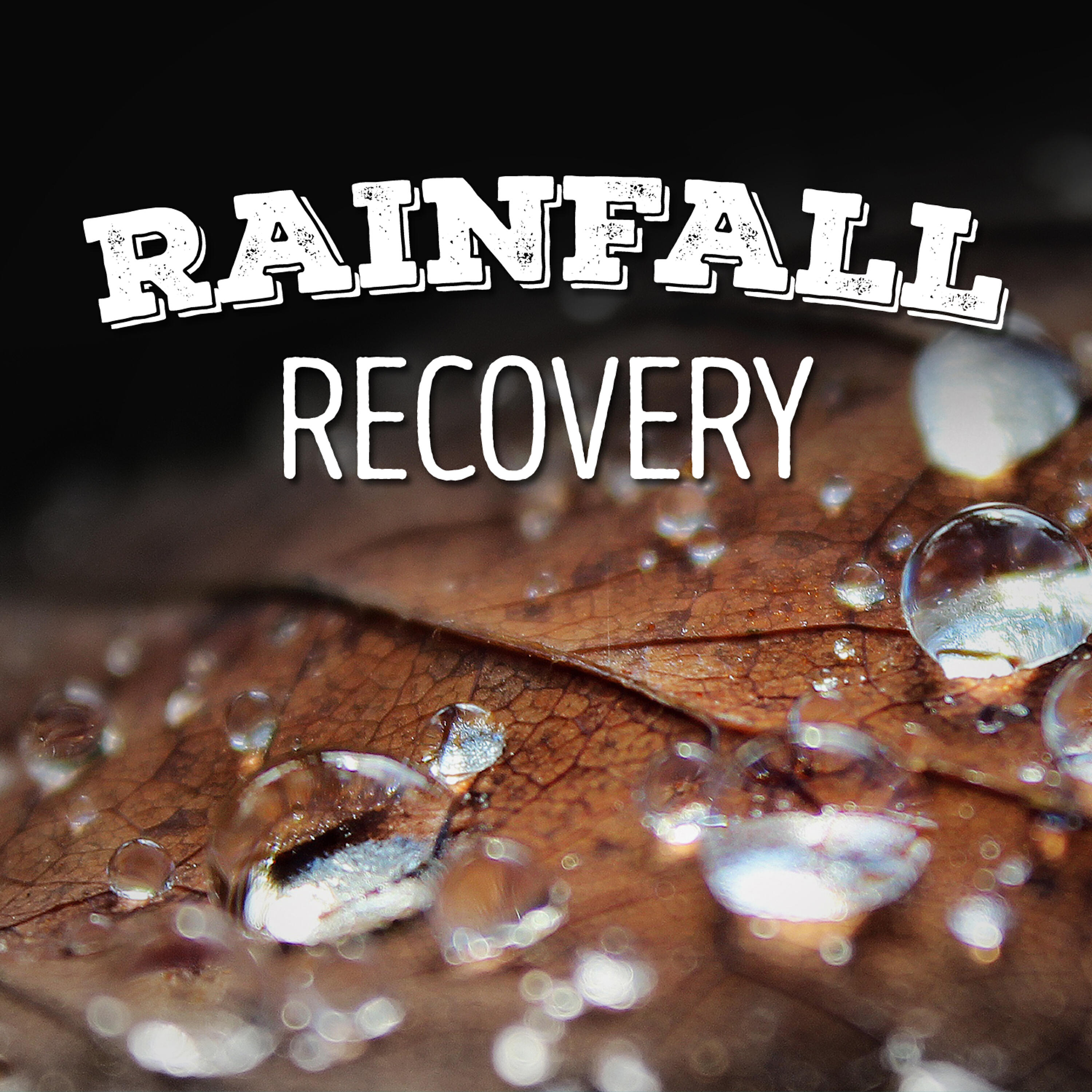 Релиз Rainfall Recovery