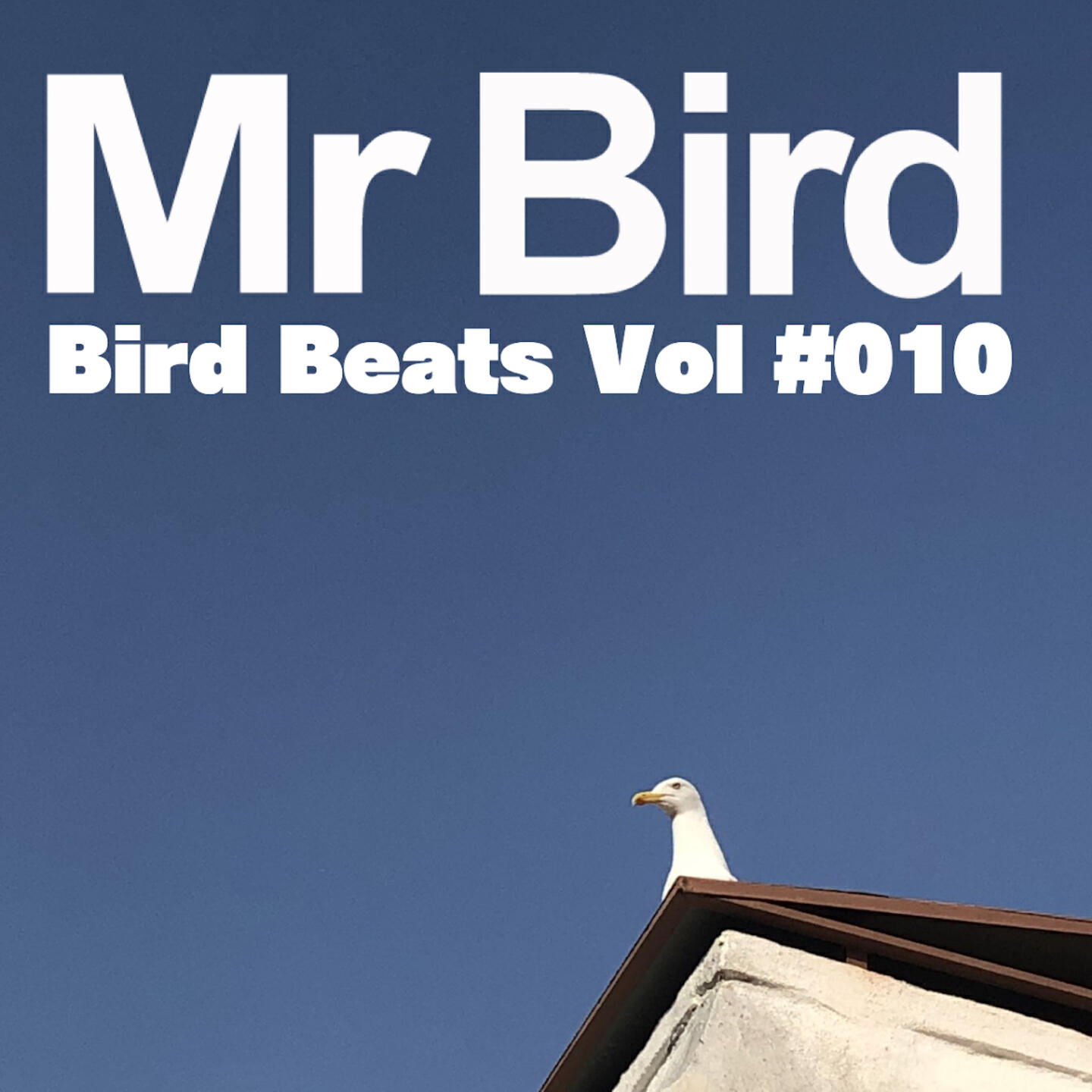 Релиз Bird Beats Vol #010
