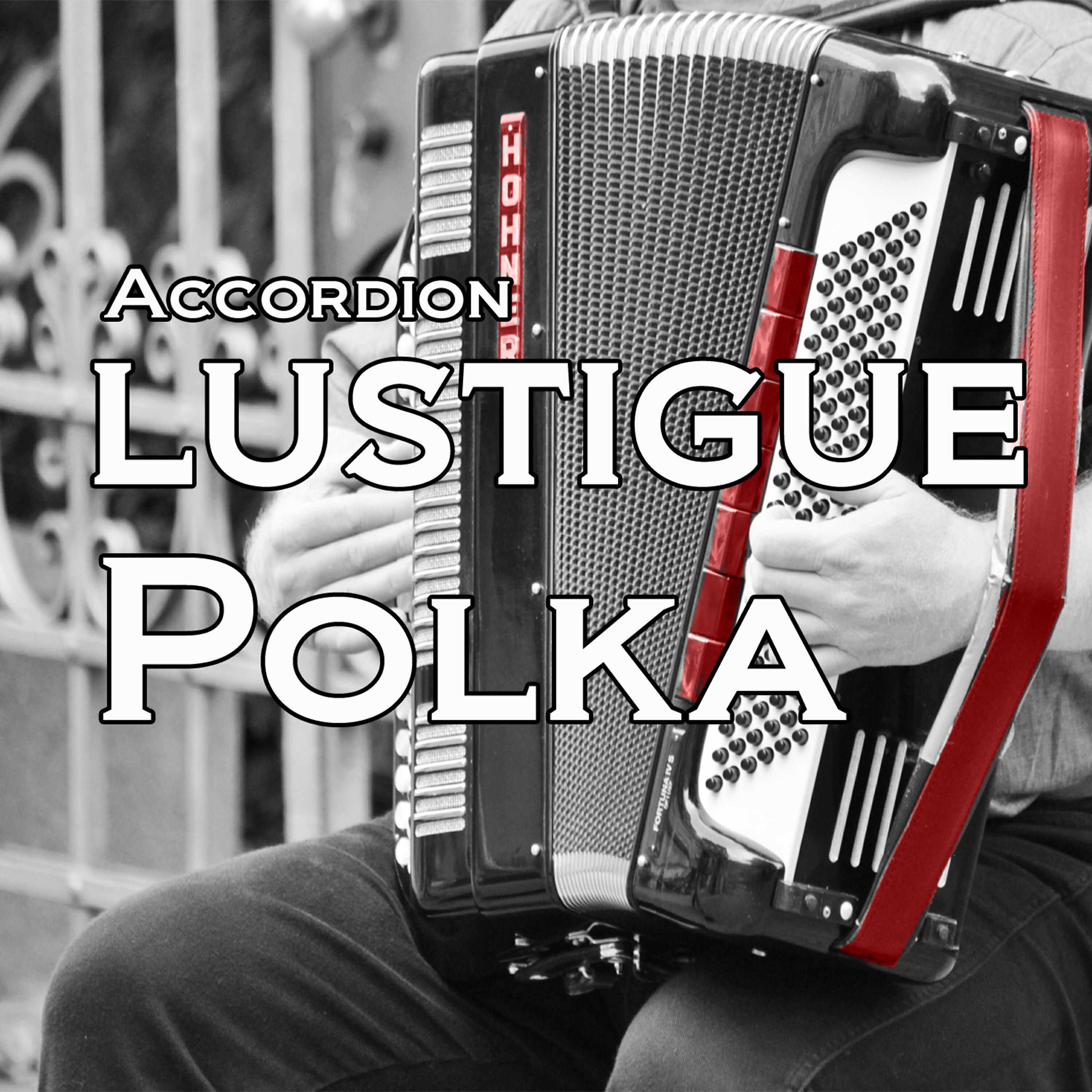 Релиз Accordion Lustige Polka, Vol. 4