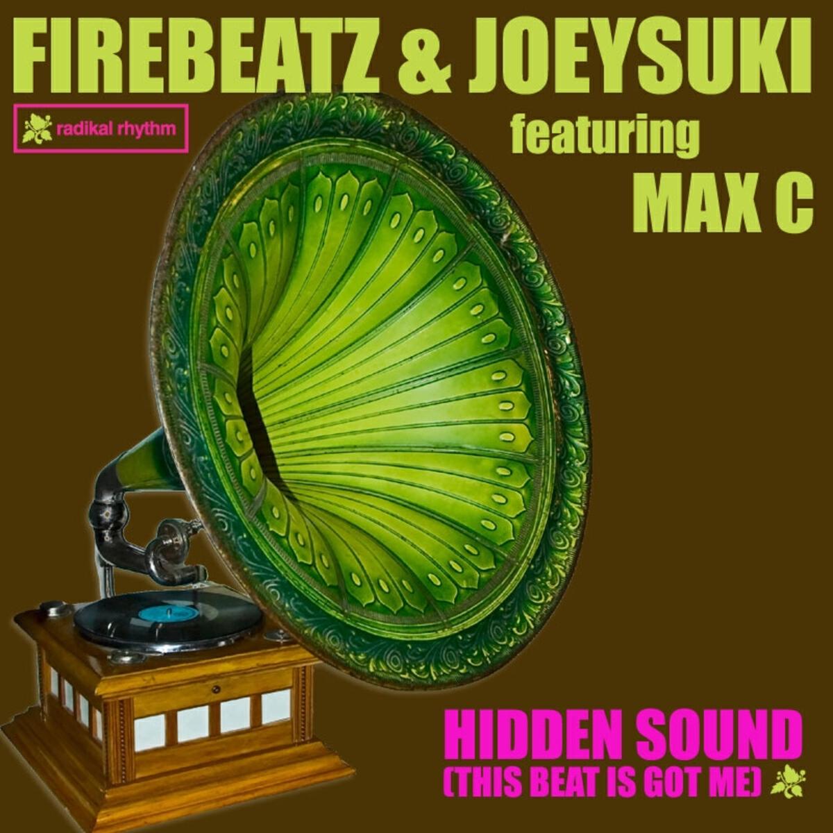 Релиз Hidden Sound (This Beat Is Got Me)