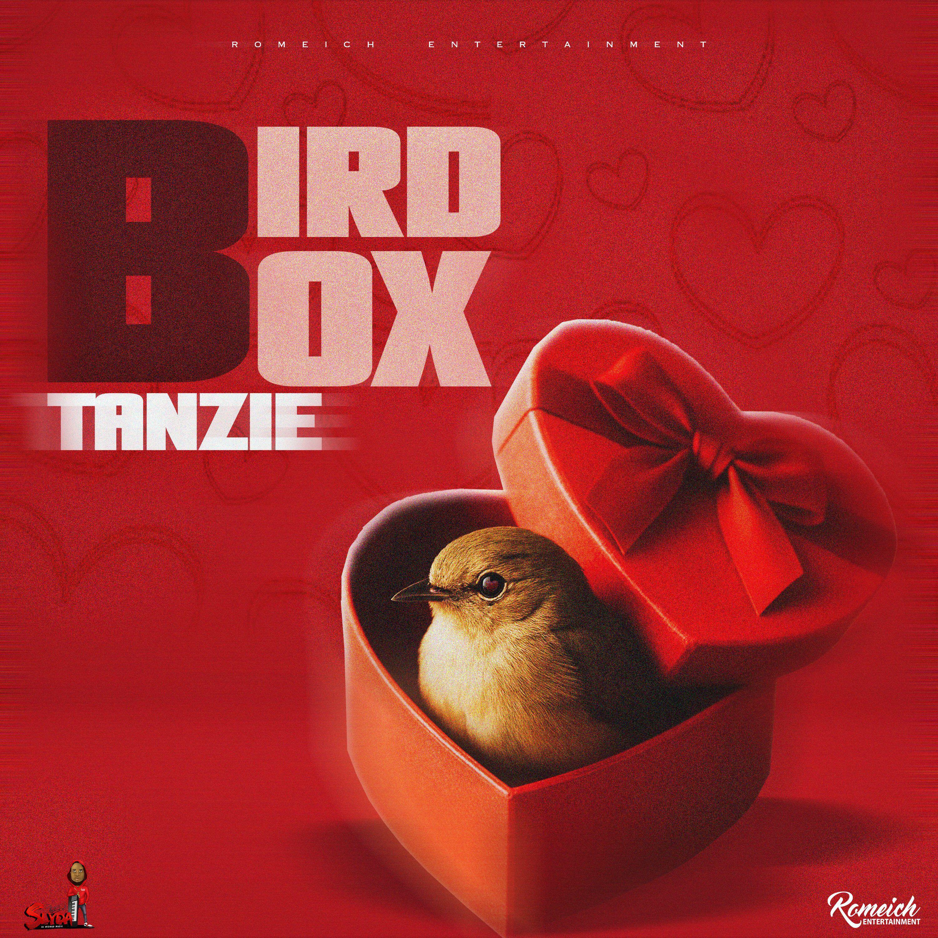 Релиз Bird Box