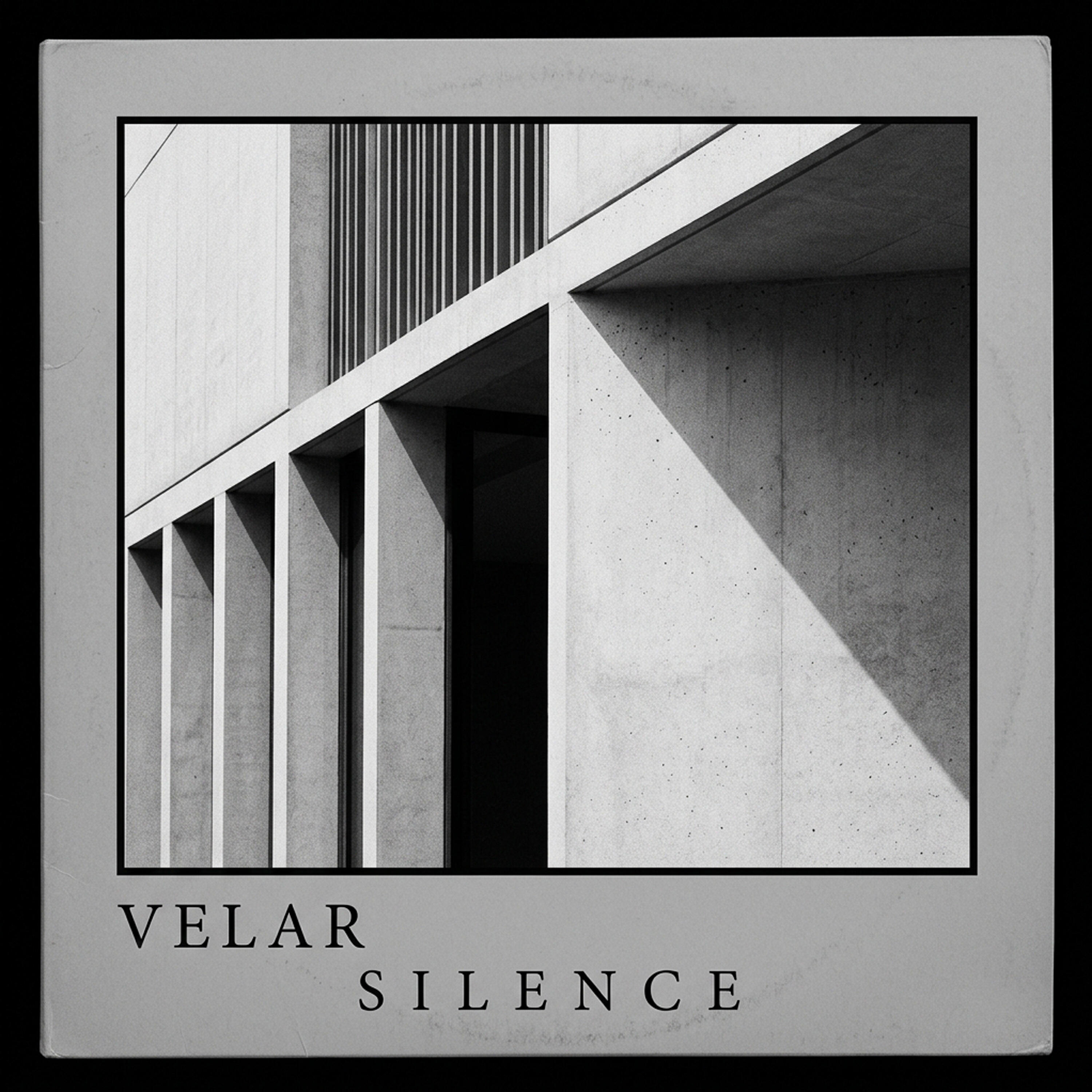 Релиз Silence