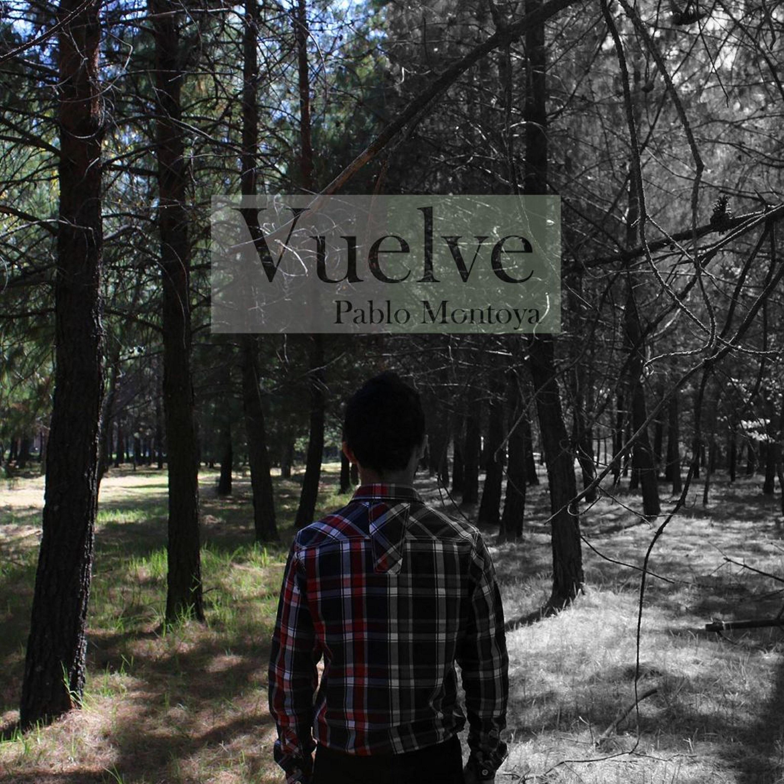 Релиз Vuelve