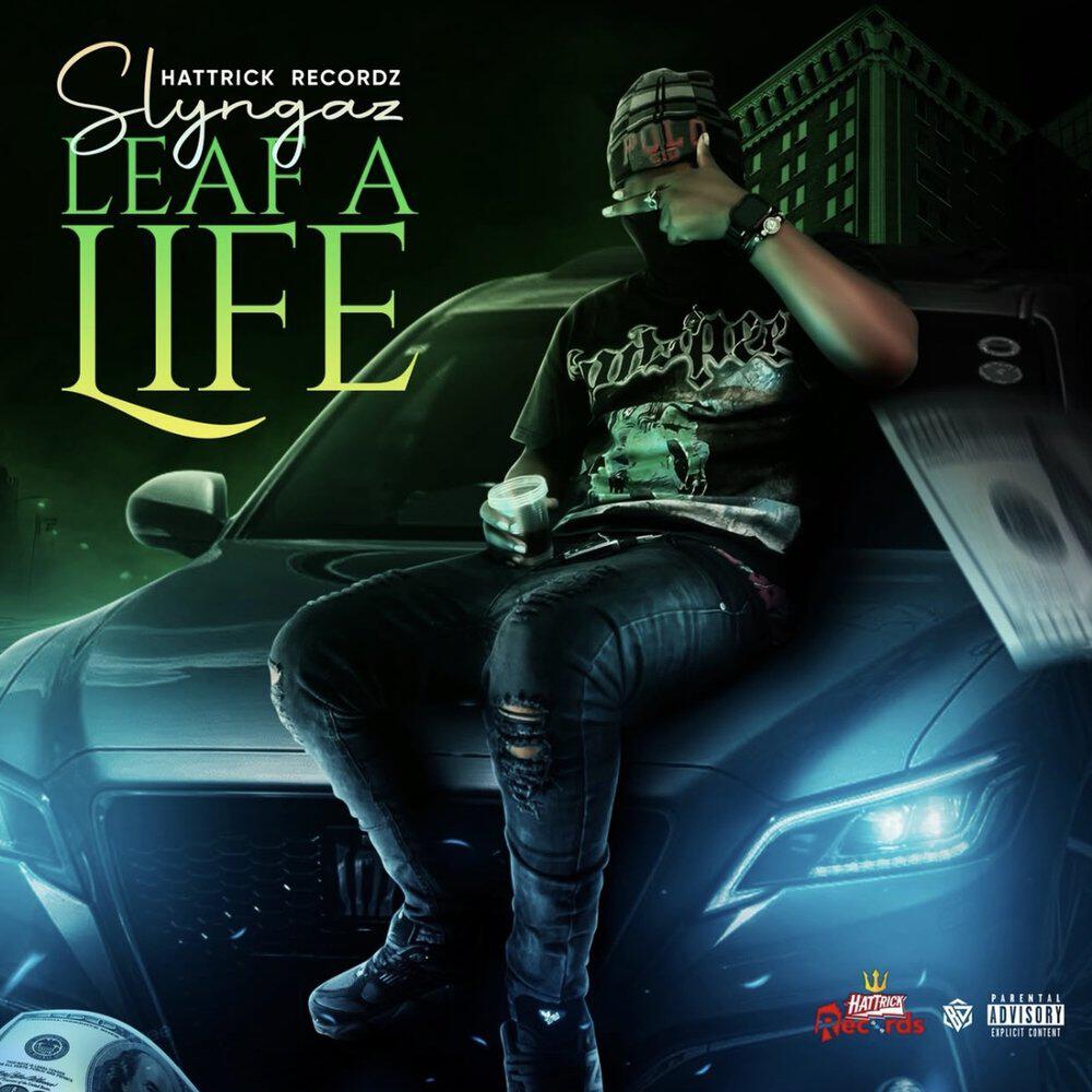 Релиз Leaf a Life