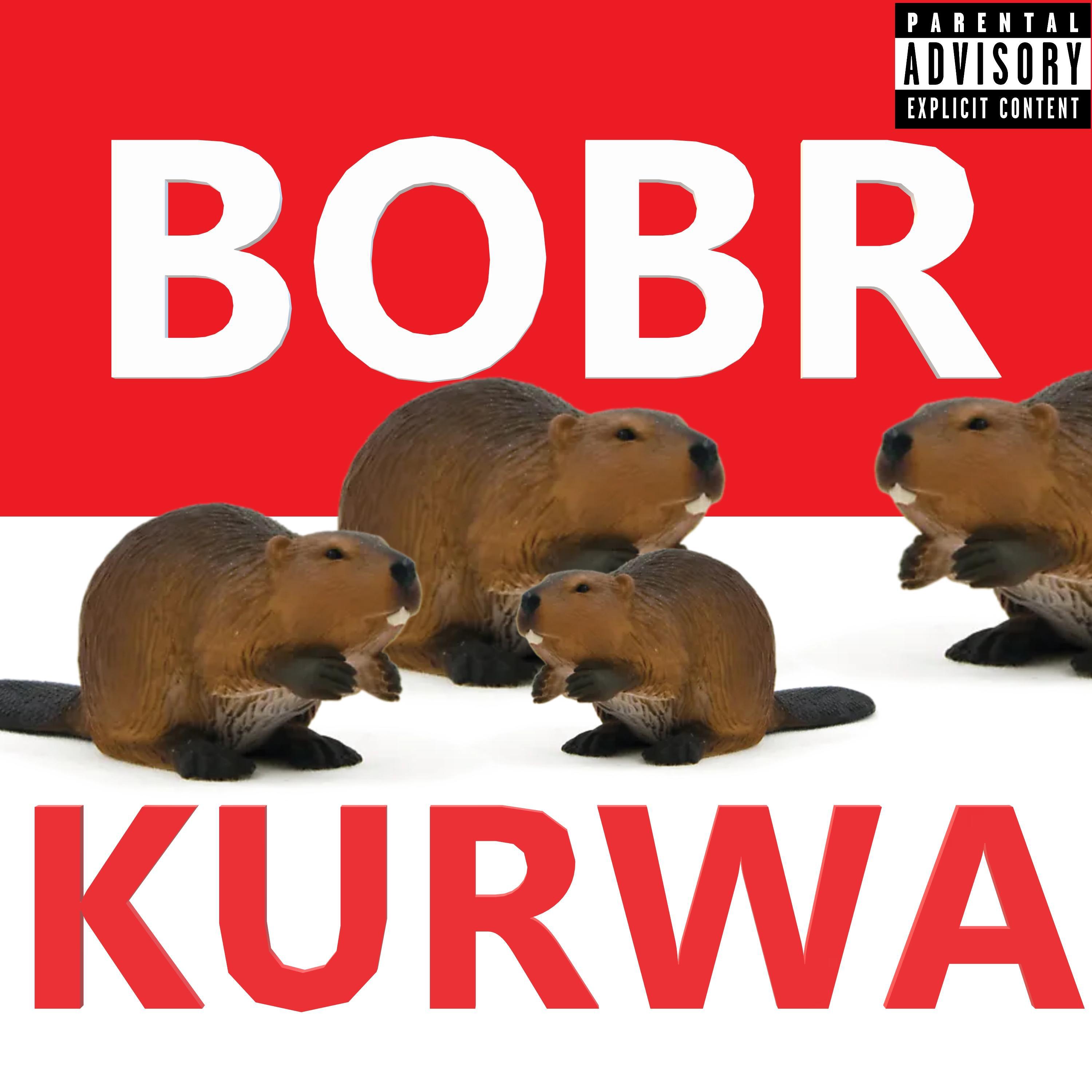 Релиз Bobr Kurwa