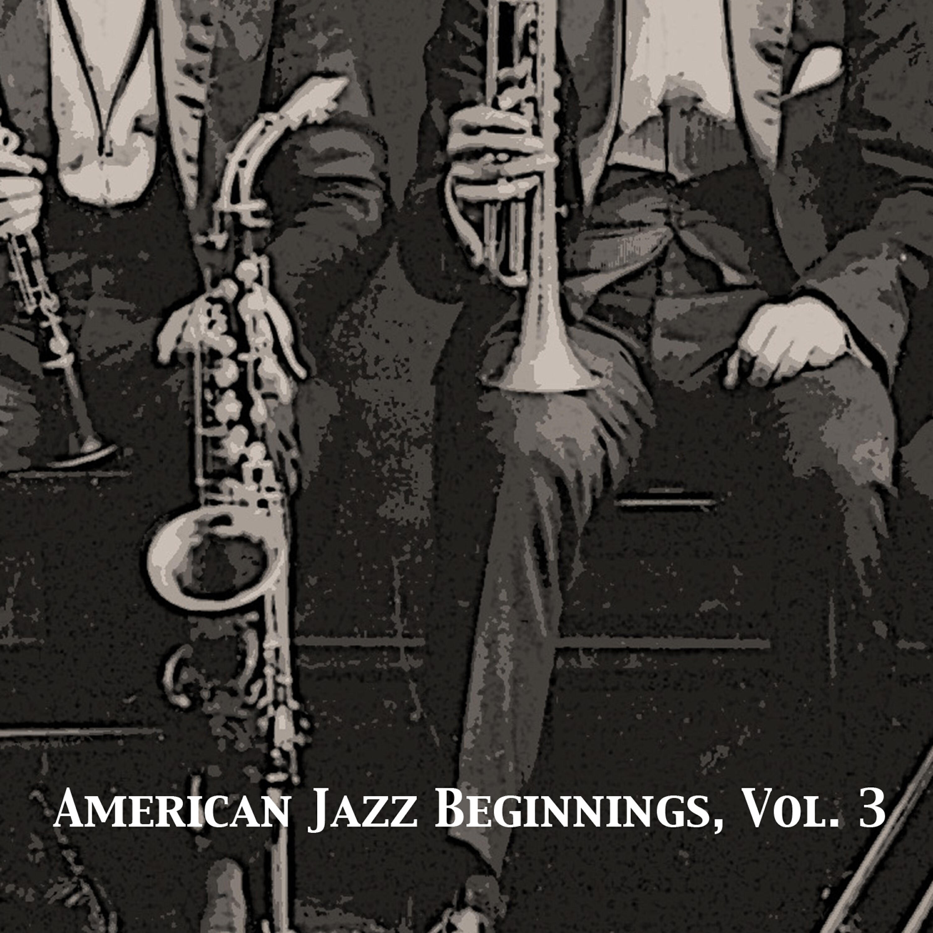 Релиз American Jazz Beginnings, Vol. 3