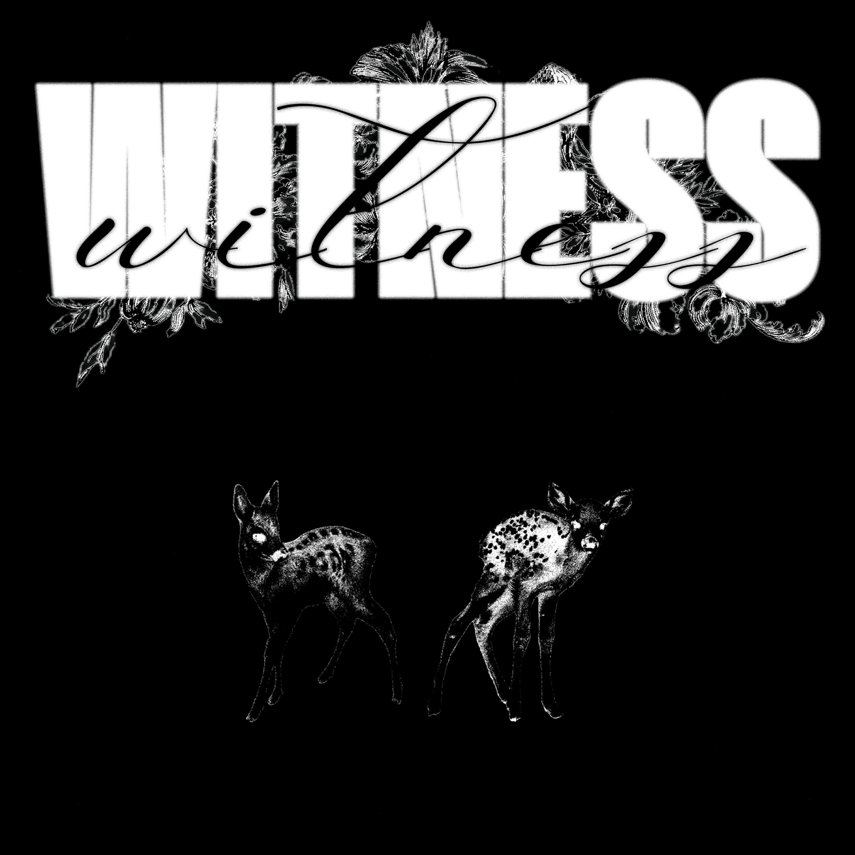 Релиз witness