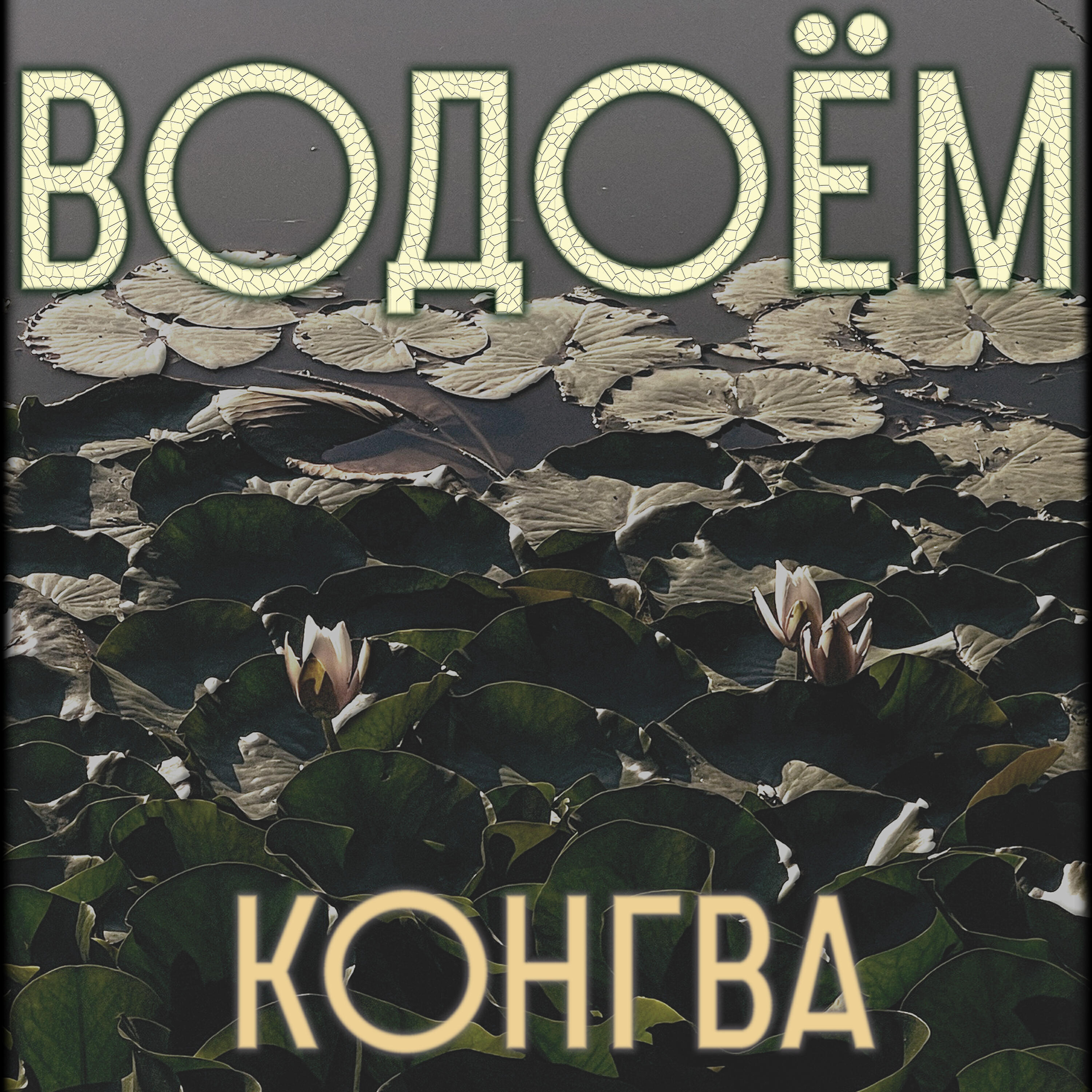 Релиз Водоём