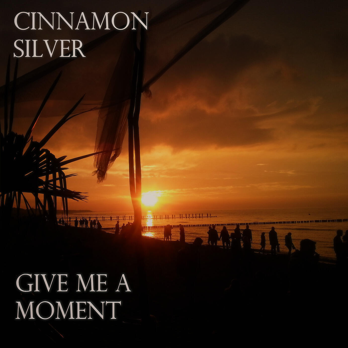 Cinnamon Silver