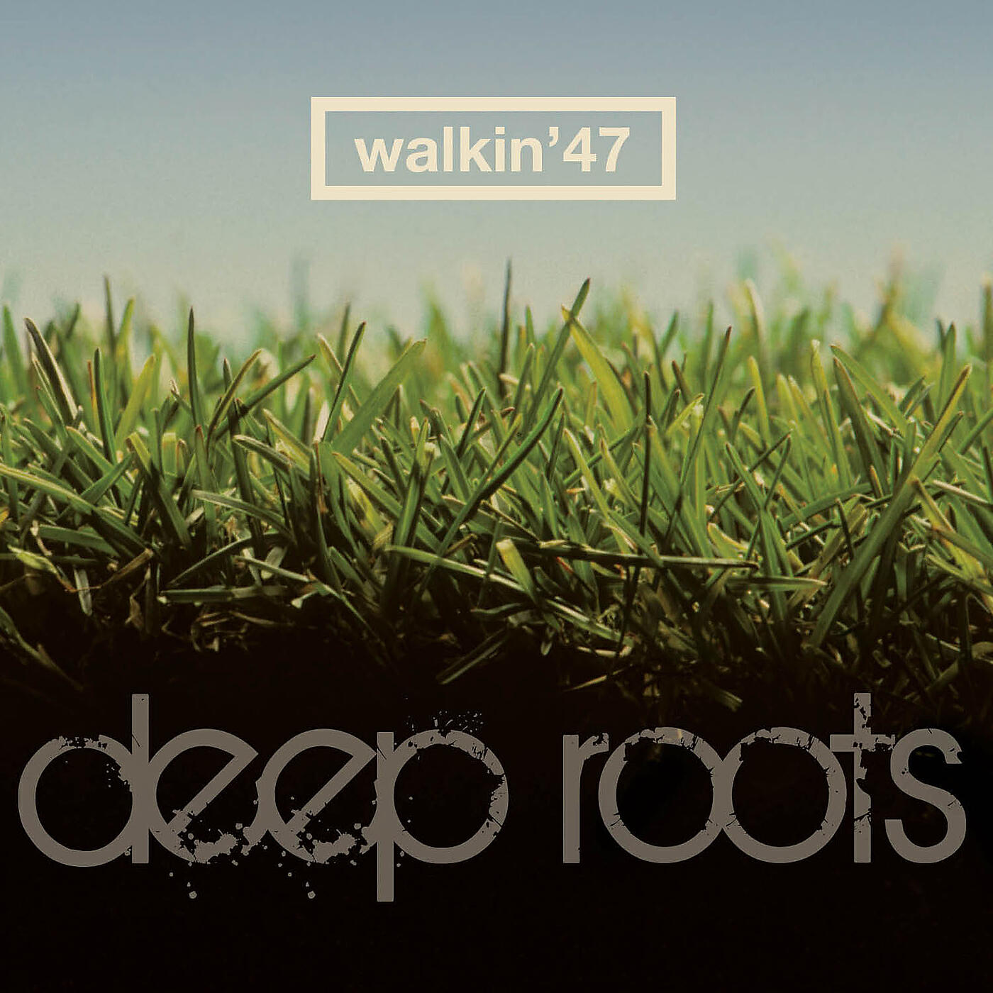Постер альбома Deep Roots