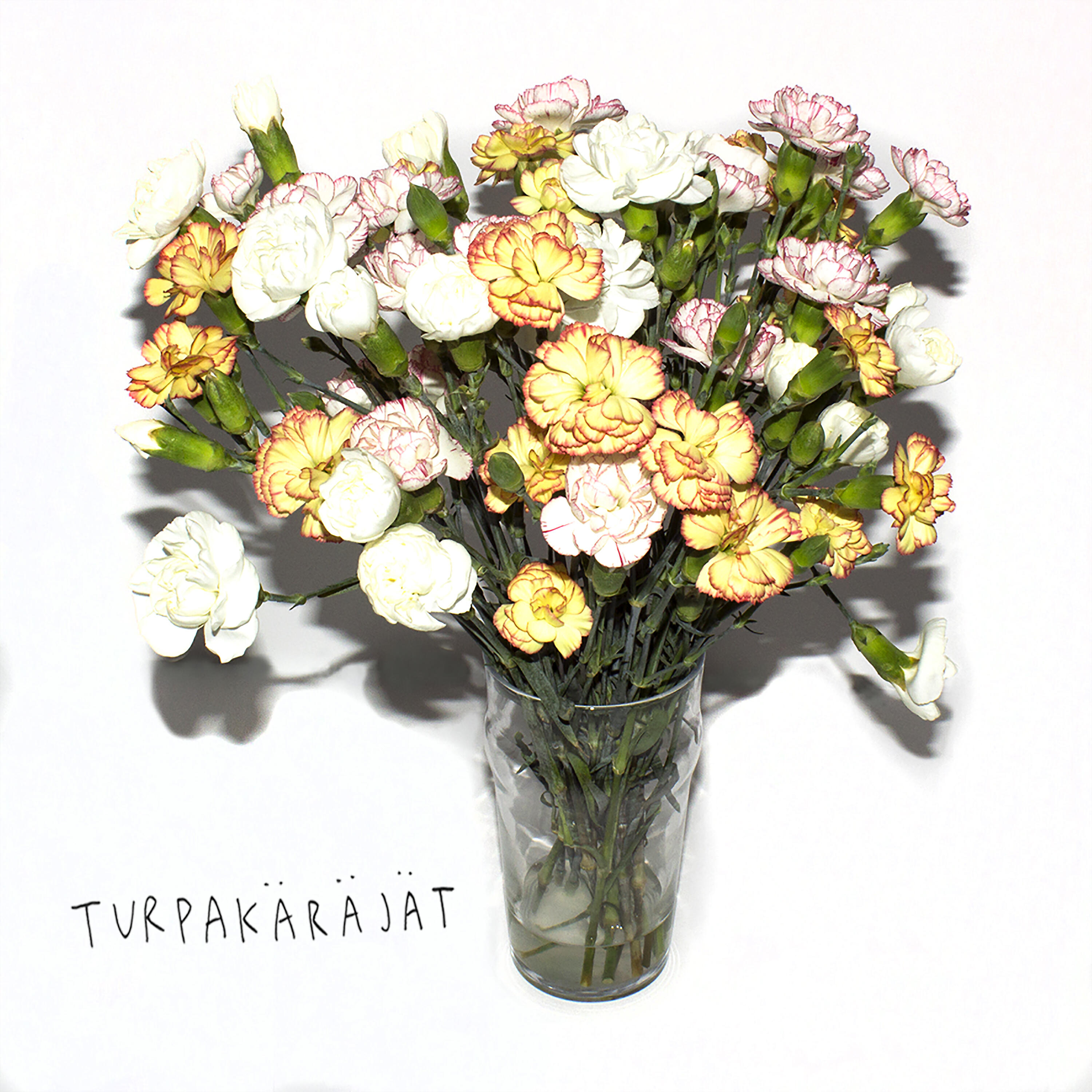 Turpakäräjät