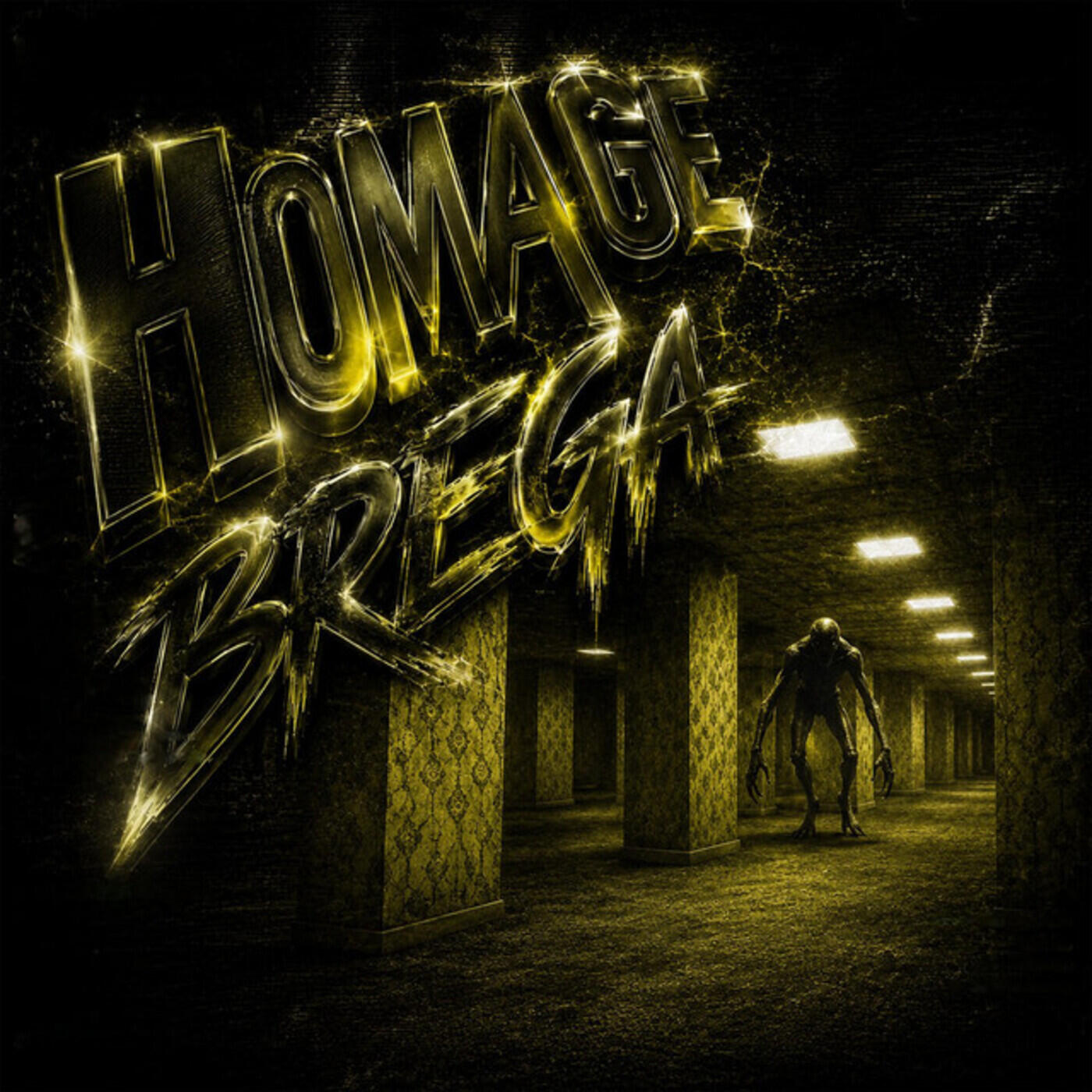 Релиз HOMAGE BREGA