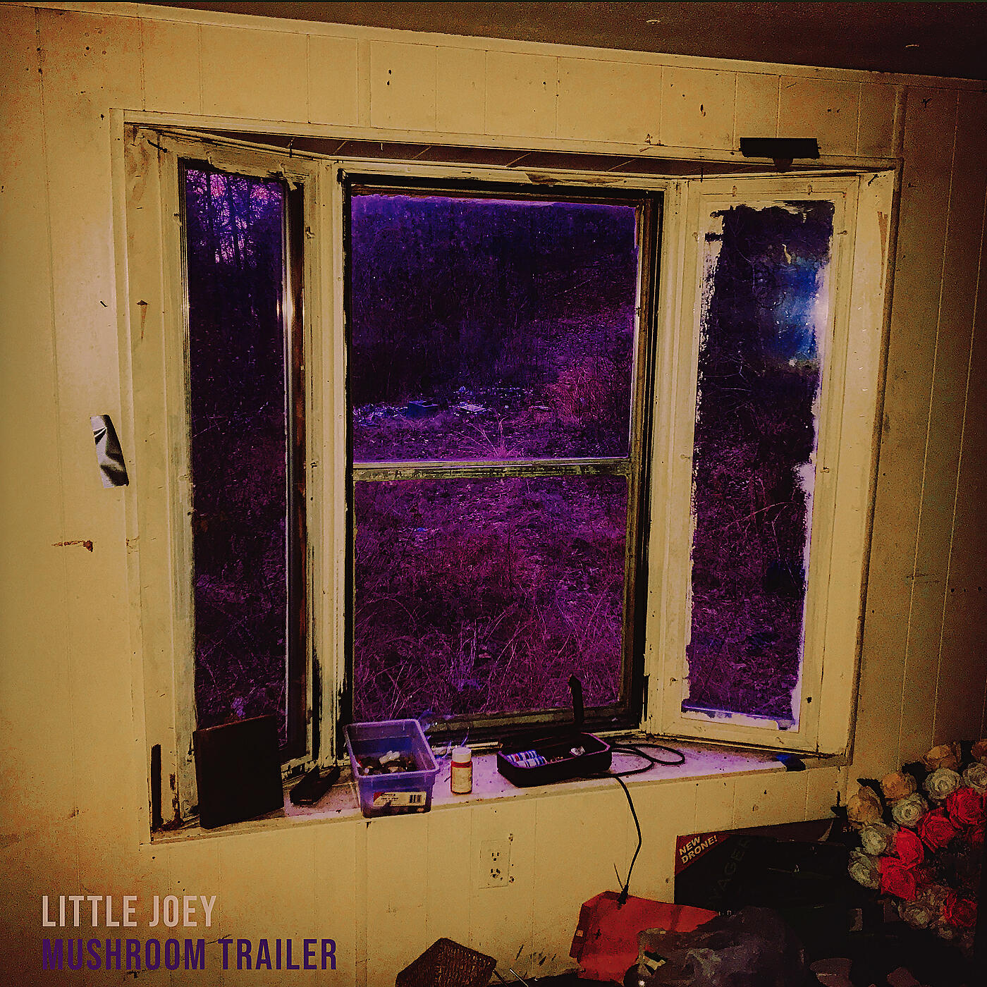 Little Joey