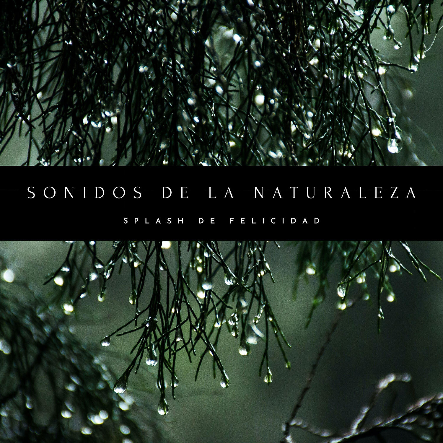 Релиз Sonidos De La Naturaleza: Splash De Felicidad